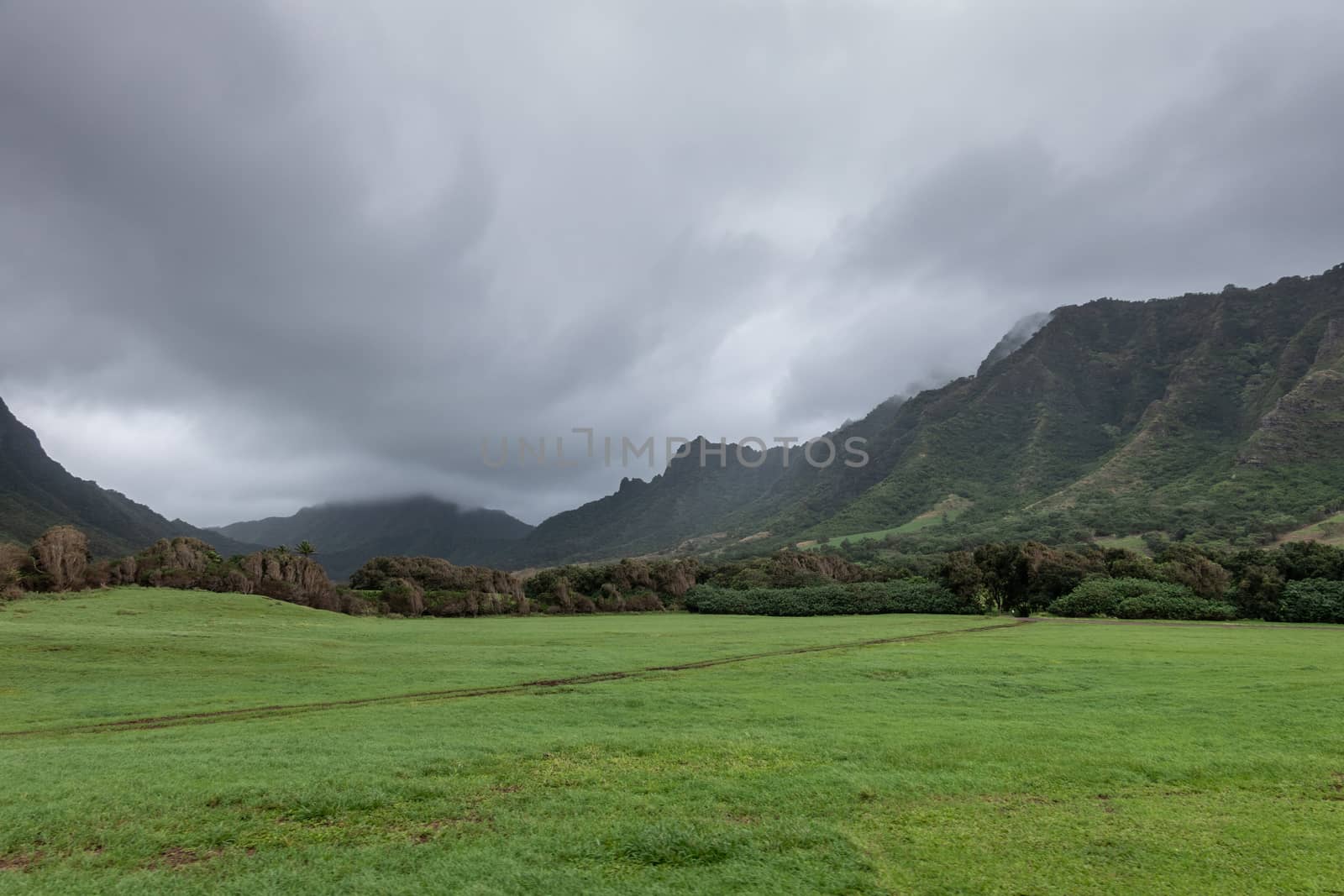 Kualoa valley shows green meadow and hills on sides, Oahu, Hawai by Claudine