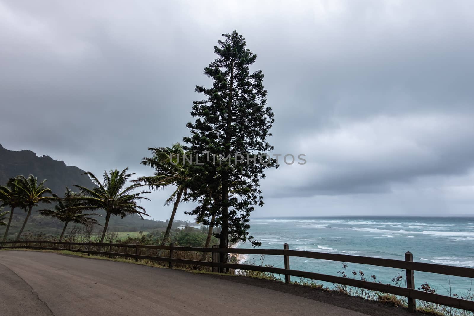 Road along cliffs under rainy clouds off east coast, Oahu, Hawai by Claudine