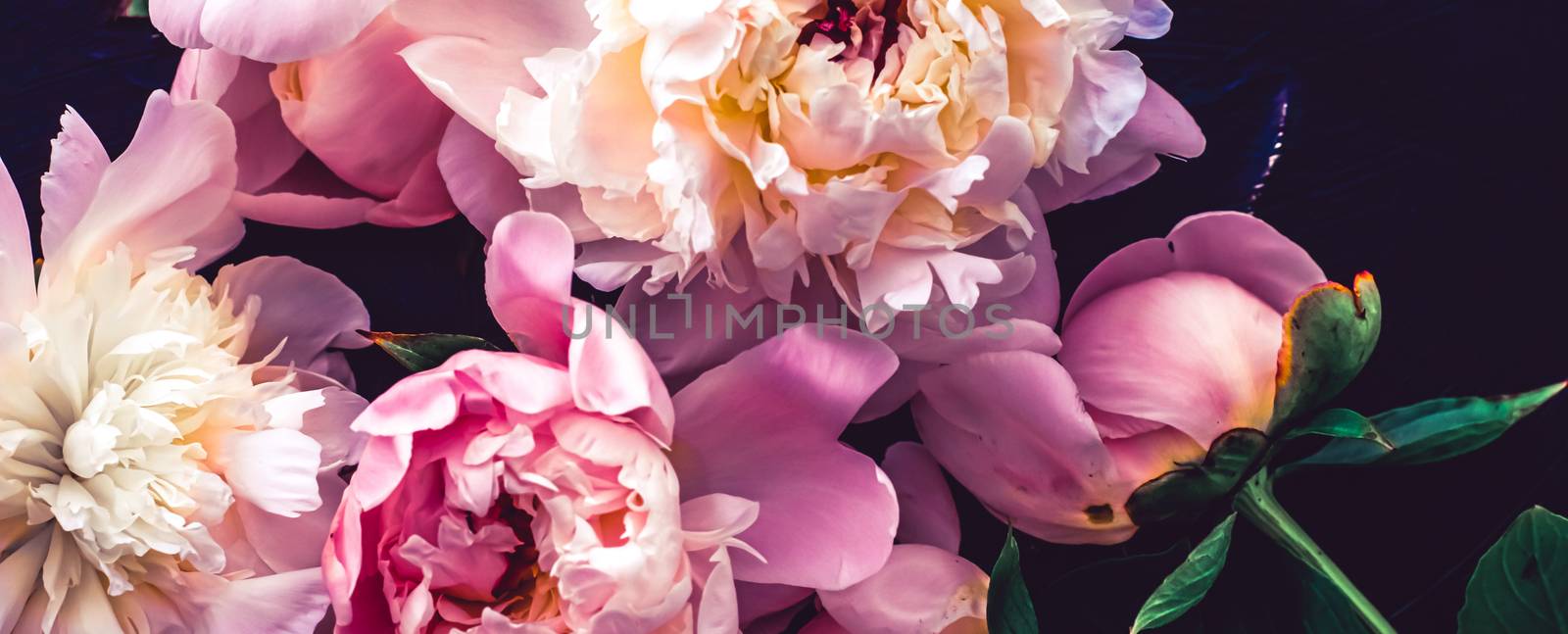 Pink peony flowers as floral art background, botanical flatlay and luxury branding design