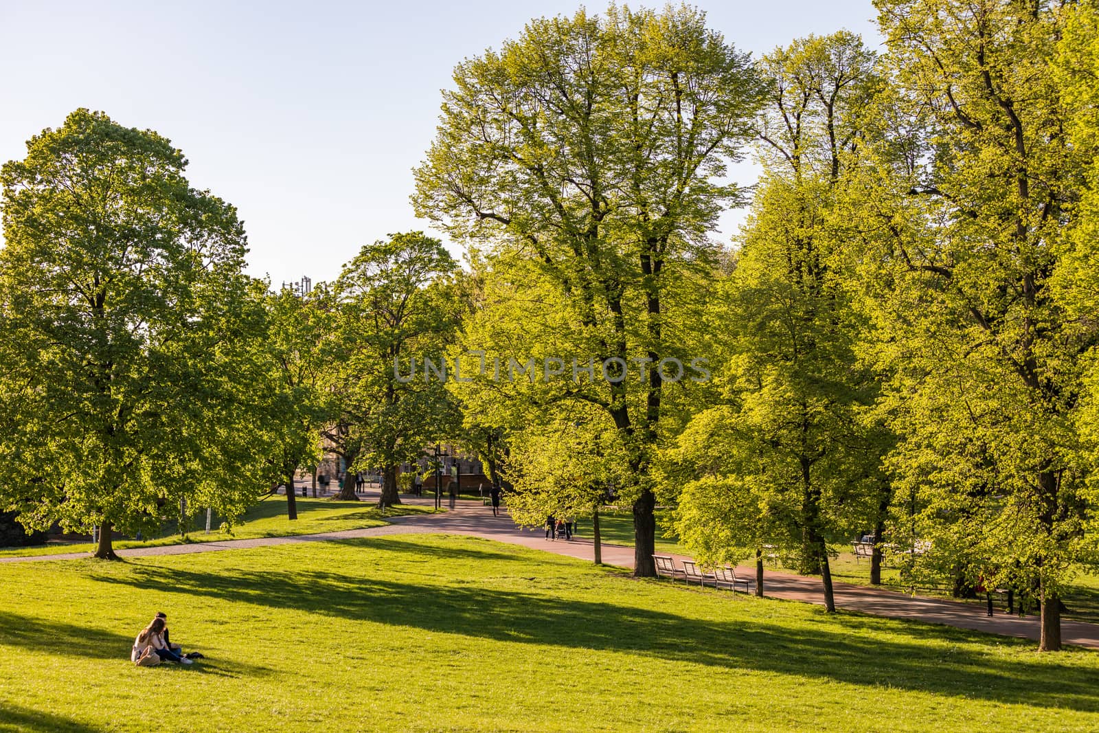 Spring view in Letna Park, Prague, Czech Republic. Spring in Prague (Praha), beautiful Letna park (Letenske sady) in sunlight, sunny landscape, popular tourist destination, Prague, Czech Republic