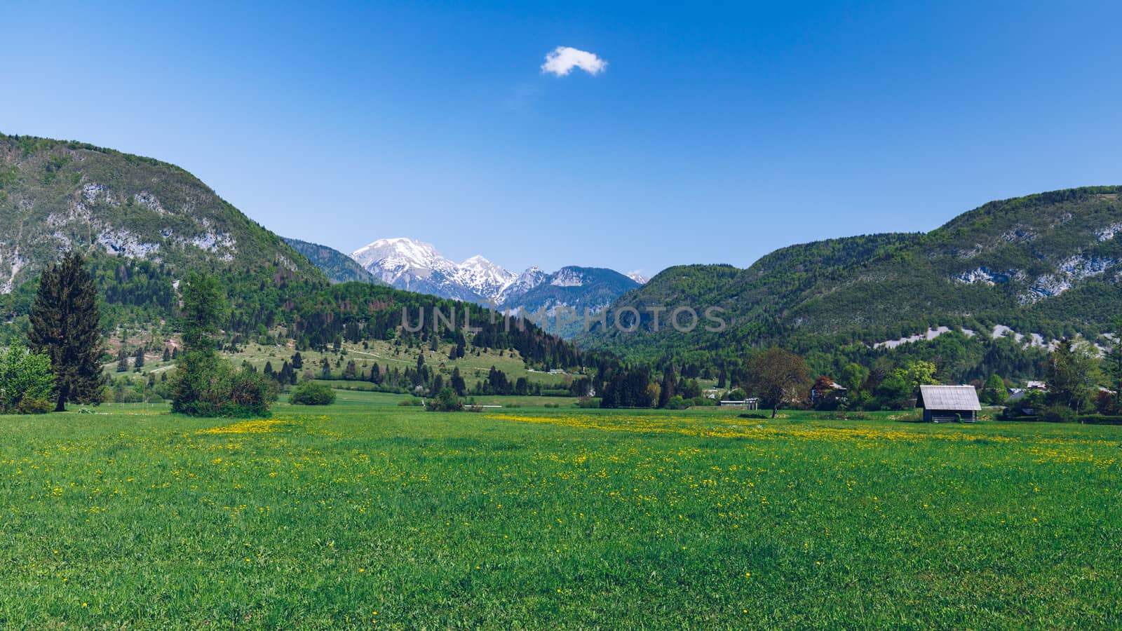 Landscape view of one wooden rural cottage on green meadow surrounded with green forest. Summer in Bohinj, Stara Fuzina, Slovenia,Europe.