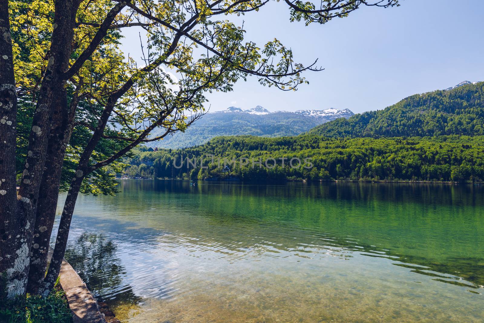 Lake Bohinj in Slovenia, beauty in nature. Colorful summer on the Bohinj lake in Triglav national park Slovenia, Alps, Europe. Mountain Lake bohinj in Julian Alps, Slovenia