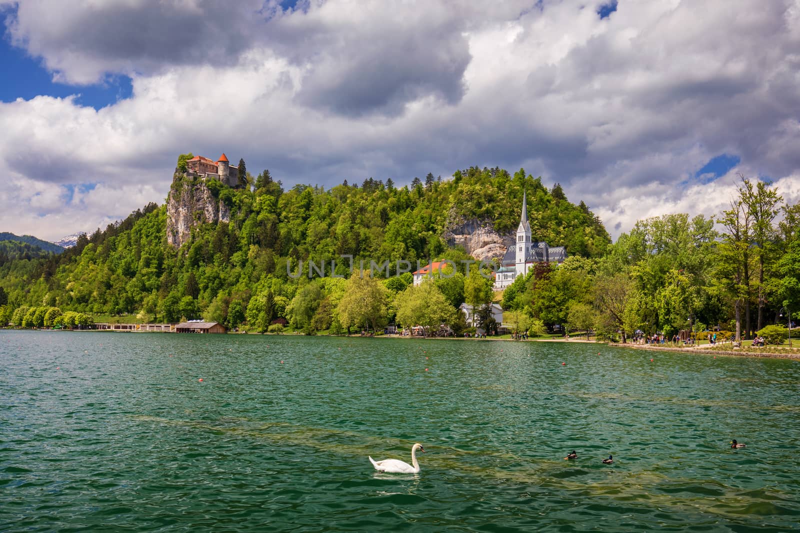 Amazing sunny scenery of Bled castle and St. Martin's Church and Bled town with reflection in the lake and the Julian Alps on background. Bled Lake, Slovenia.