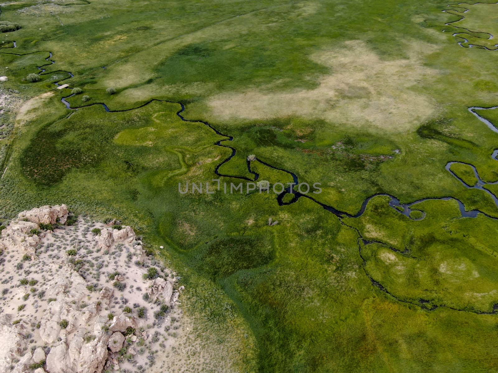 Aerial view of green land and small curve river in Aspen Springs, Mono County California, USA