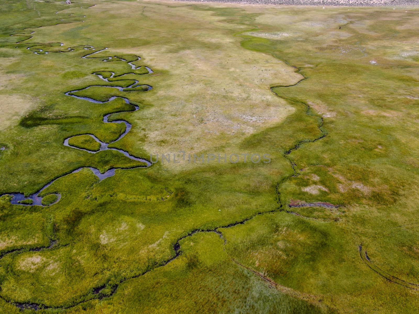Aerial view of green land and small curve river in Aspen Springs, Mono County California, USA