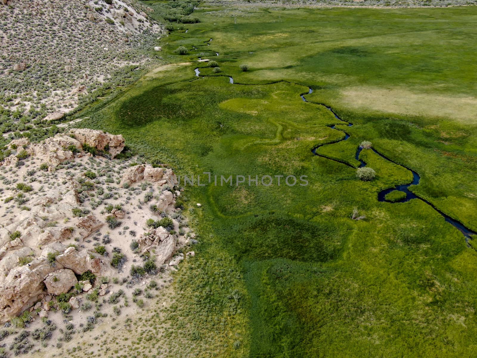 Aerial view of green land and small curve river in Aspen Springs, Mono County California, USA