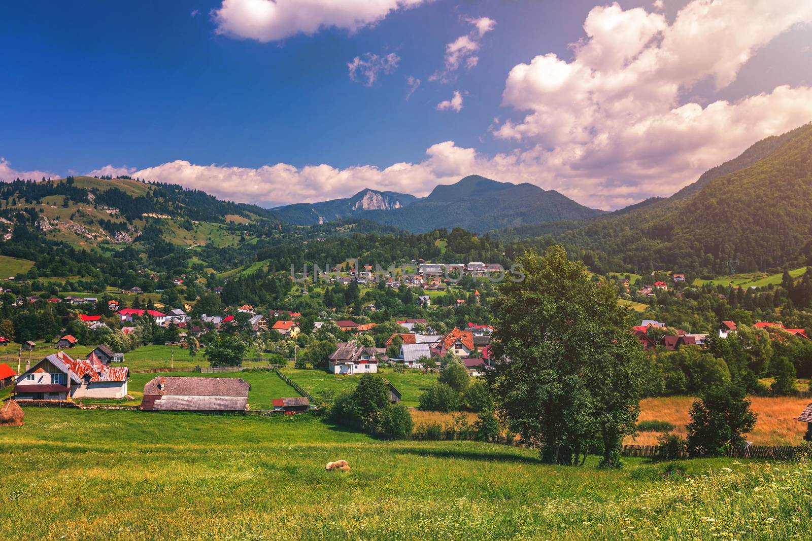 Summer alpine Transylvania landmark, landscape with green fields and valleys, high Piatra Craiului mountains, Carpathians, Transylvania, Romania, Europe
