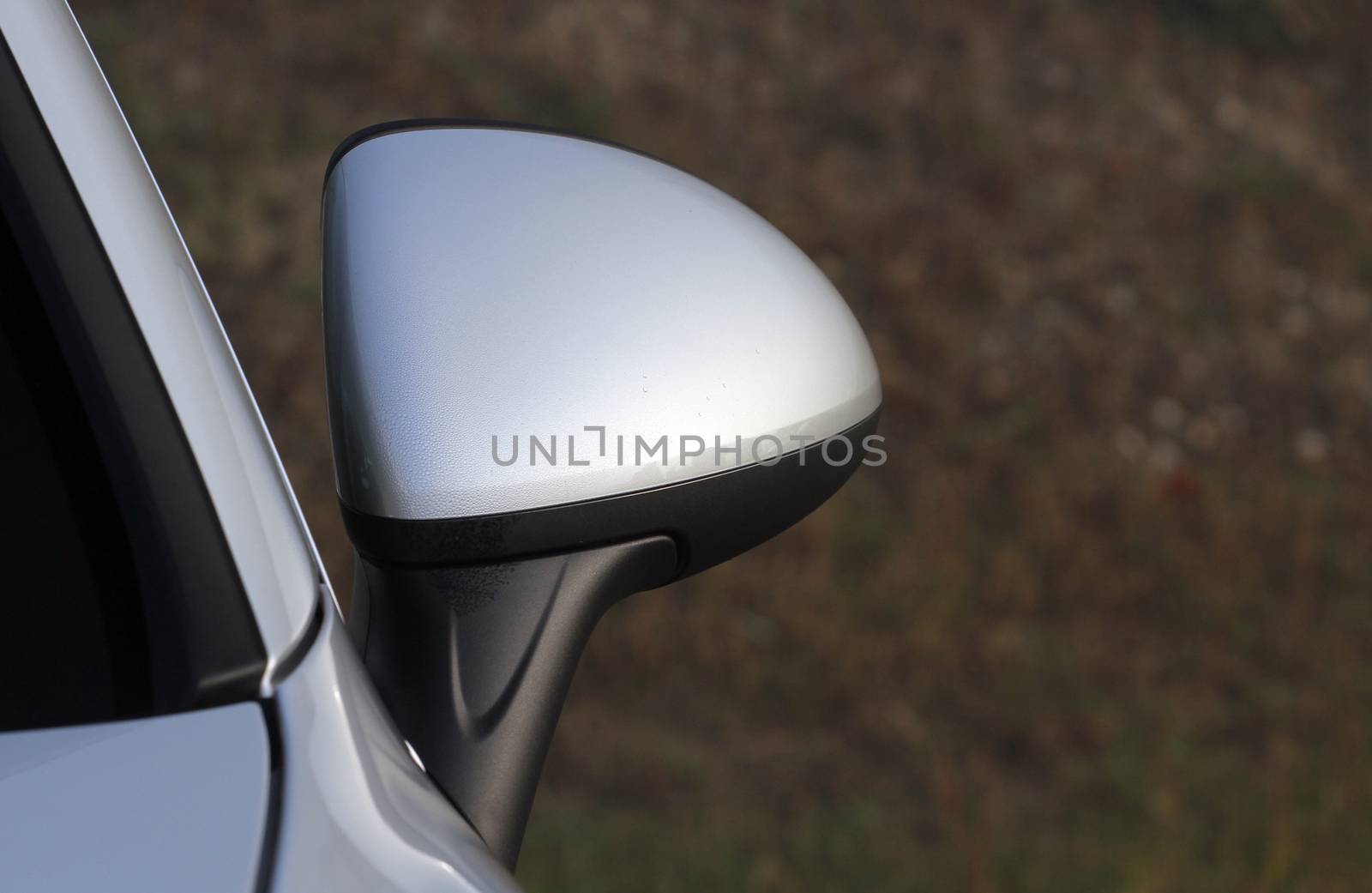 Side mirror with turn signal of a luxury car