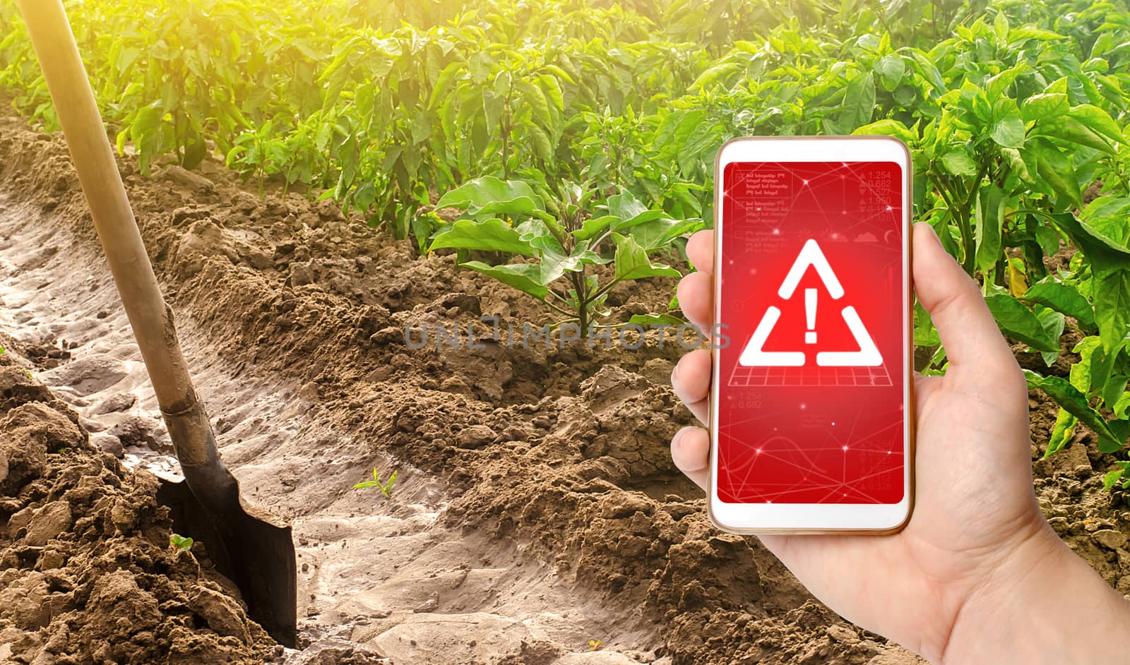 A phone and a warning sign on the background of pepper plantation and irrigation channel with a shovel. Harmful pesticides and chemicals in agriculture. Environmental hazard, microplastics in the crop