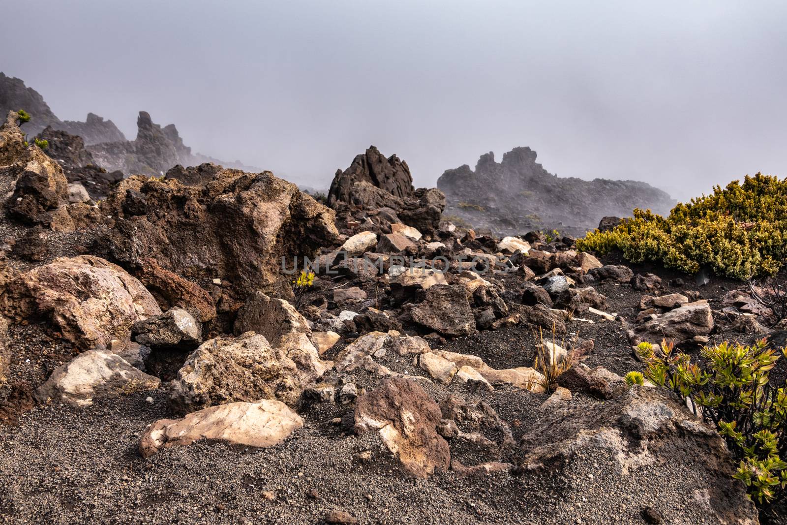 Brown rocks and vegetation at edge of crater of Haleakala Volcan by Claudine