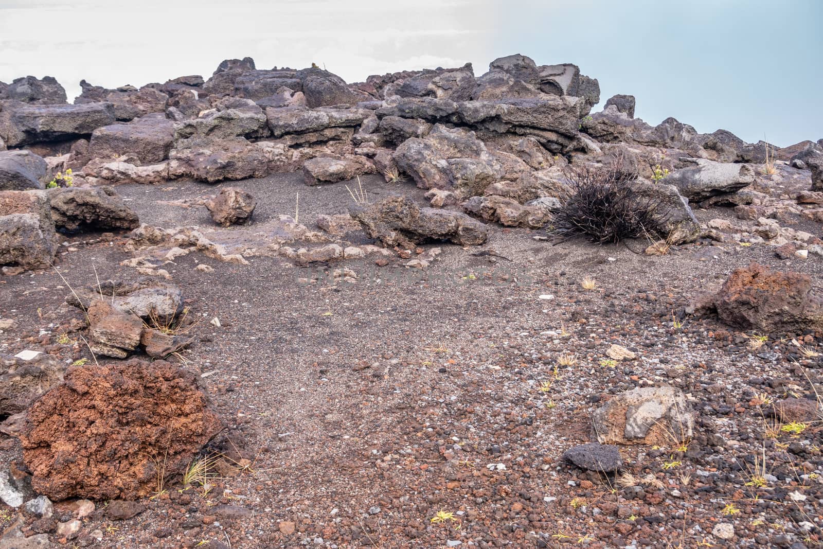 Typical ground composition at top of Haleakala Volcano, Maui, Ha by Claudine