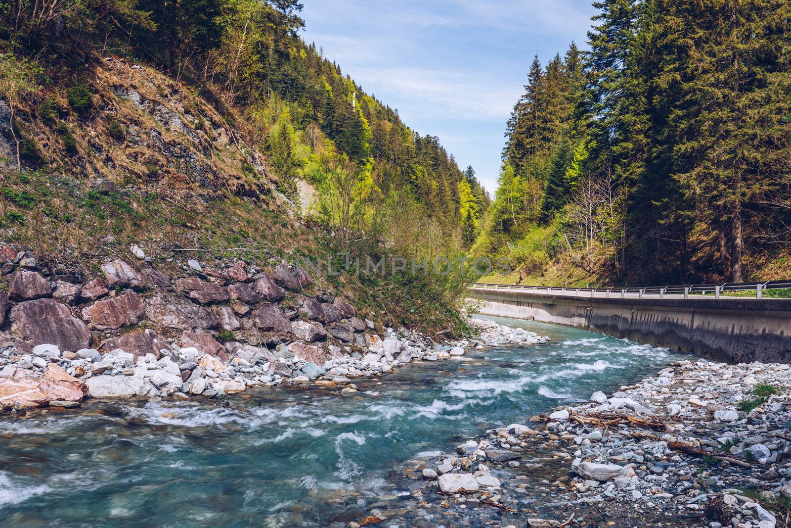 Pastoral in the Alpine mountain valley in Austria. Rapid mountain stream. Mountain river and green forest.