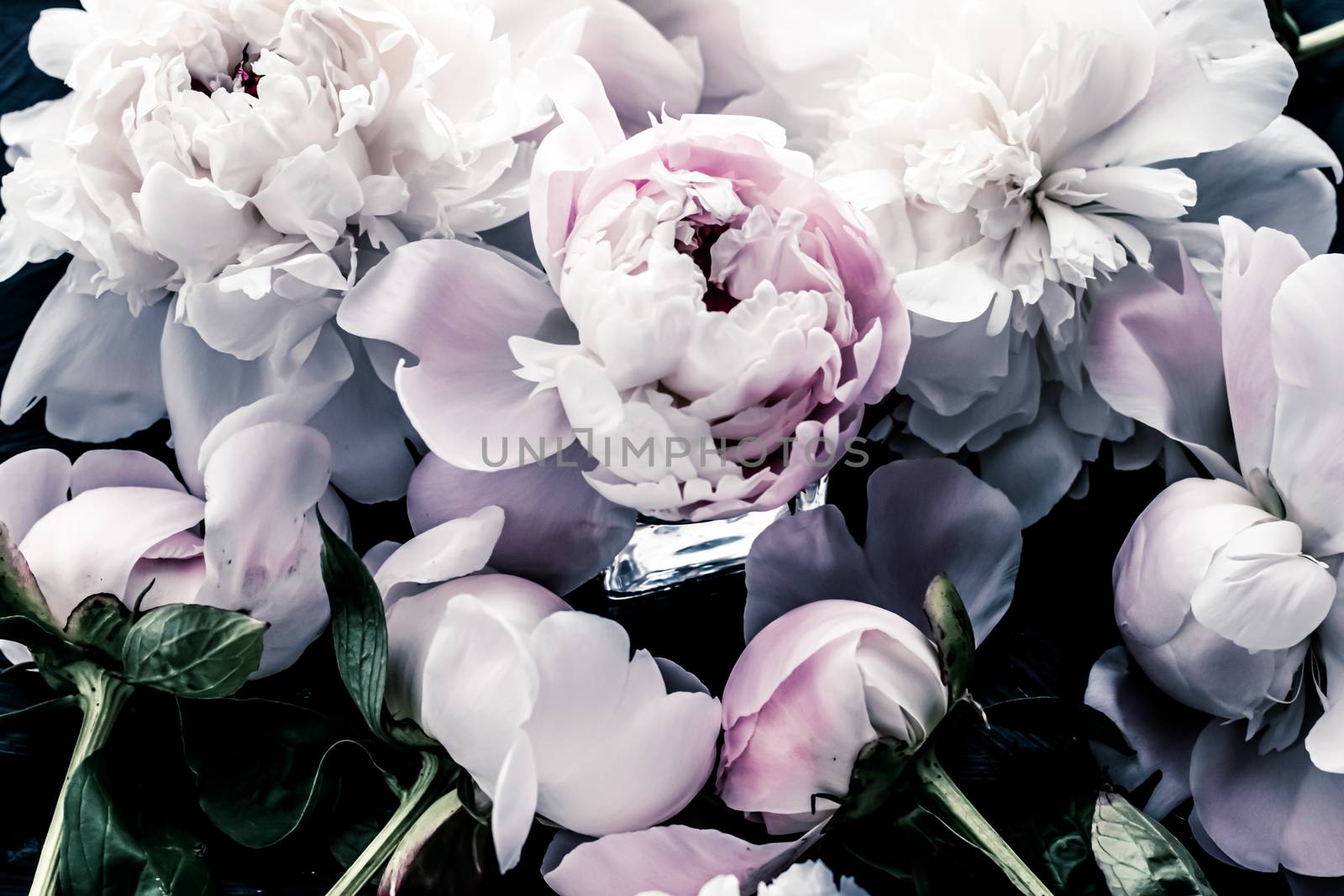 Pastel peony flowers as floral art background, botanical flatlay and luxury branding design