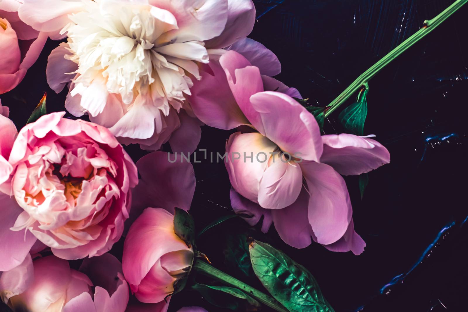 Pink peony flowers as floral art background, botanical flatlay and luxury branding design