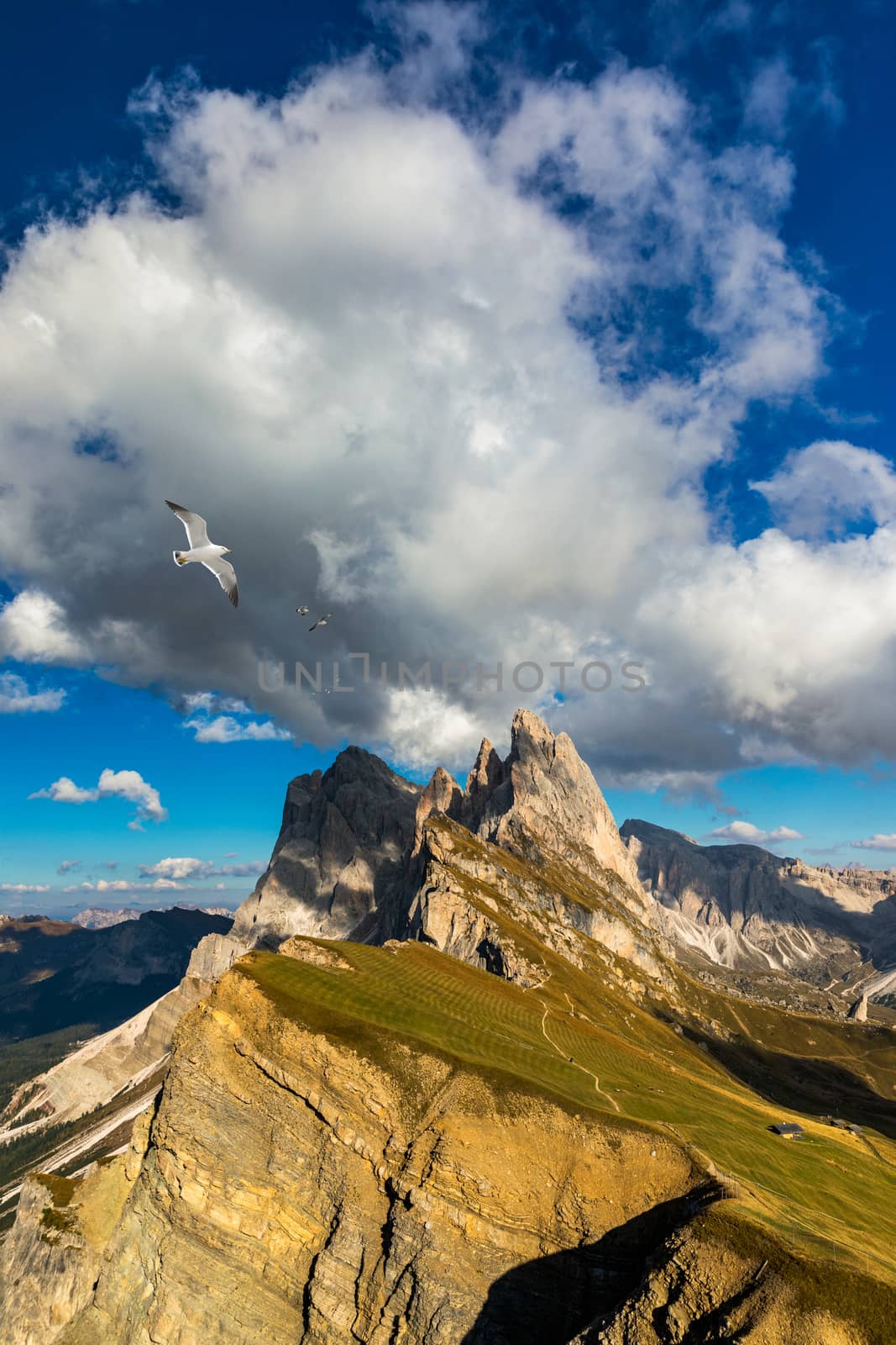 View on Seceda with birds flying over the peaks. Trentino Alto Adige, Dolomites Alps, South Tyrol, Italy. Val Gardena. Majestic Furchetta peak. Odles group seen from Seceda, Val Gardena.