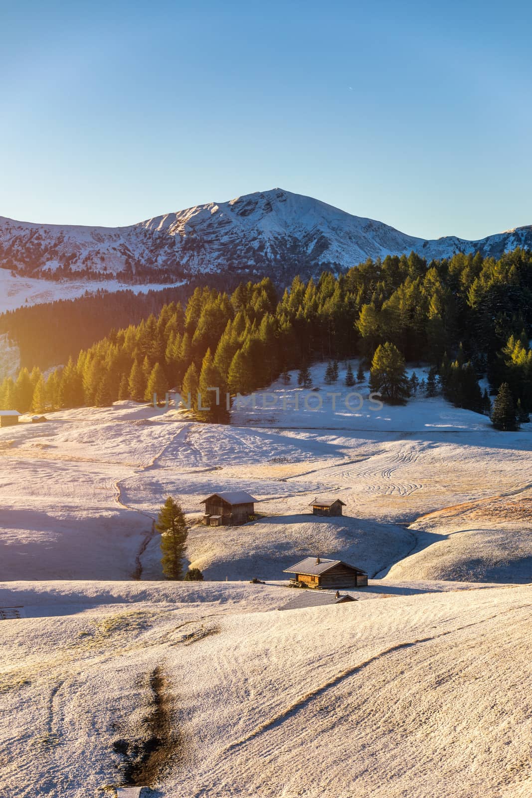 Alpe di Siusi or Seiser Alm with Sassolungo, Langkofel mountain group in background. Alpe di Siusi or Seiser Alm, Sassolungo and Sassopiatto mountains, Trentino Alto Adige, Sud Tyrol, Italy, Europe.