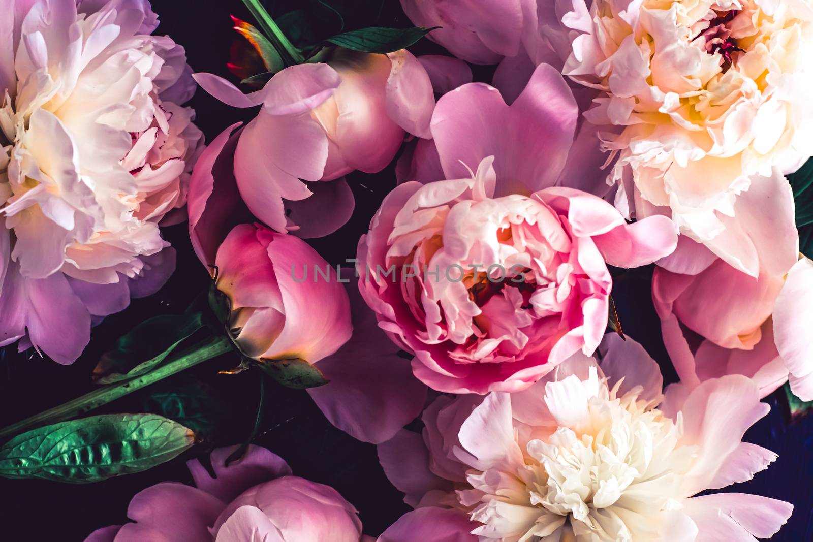 Pink peony flowers as floral art background, botanical flatlay and luxury branding by Anneleven