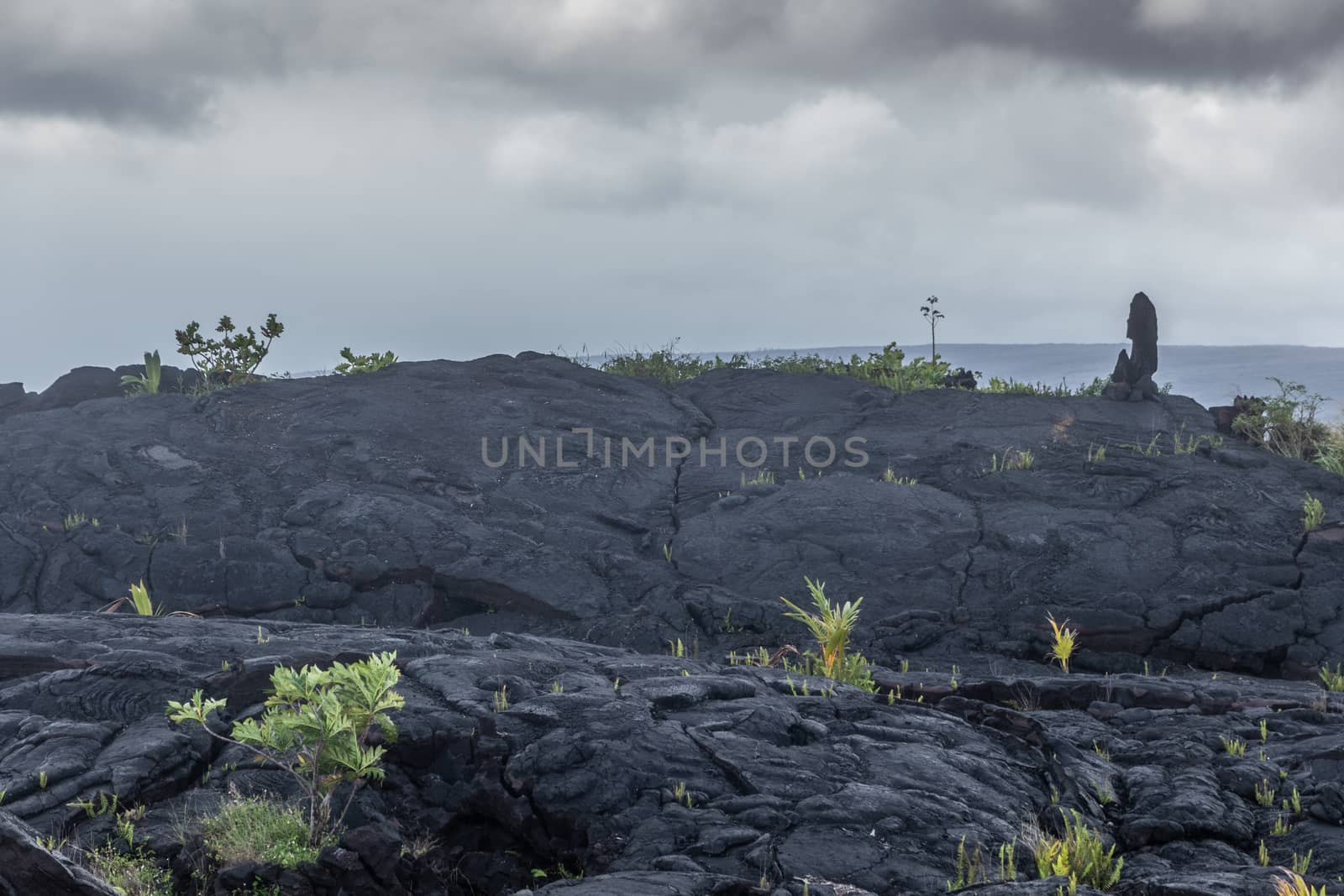 Kaimu Beach, Hawaii, USA. - January 14, 2020: Hardened in waves black Lava field off Kilauea volcano eruption of 1990 with Hei Matau symbol on top.  Young vegetation under gray rainy cloudscape