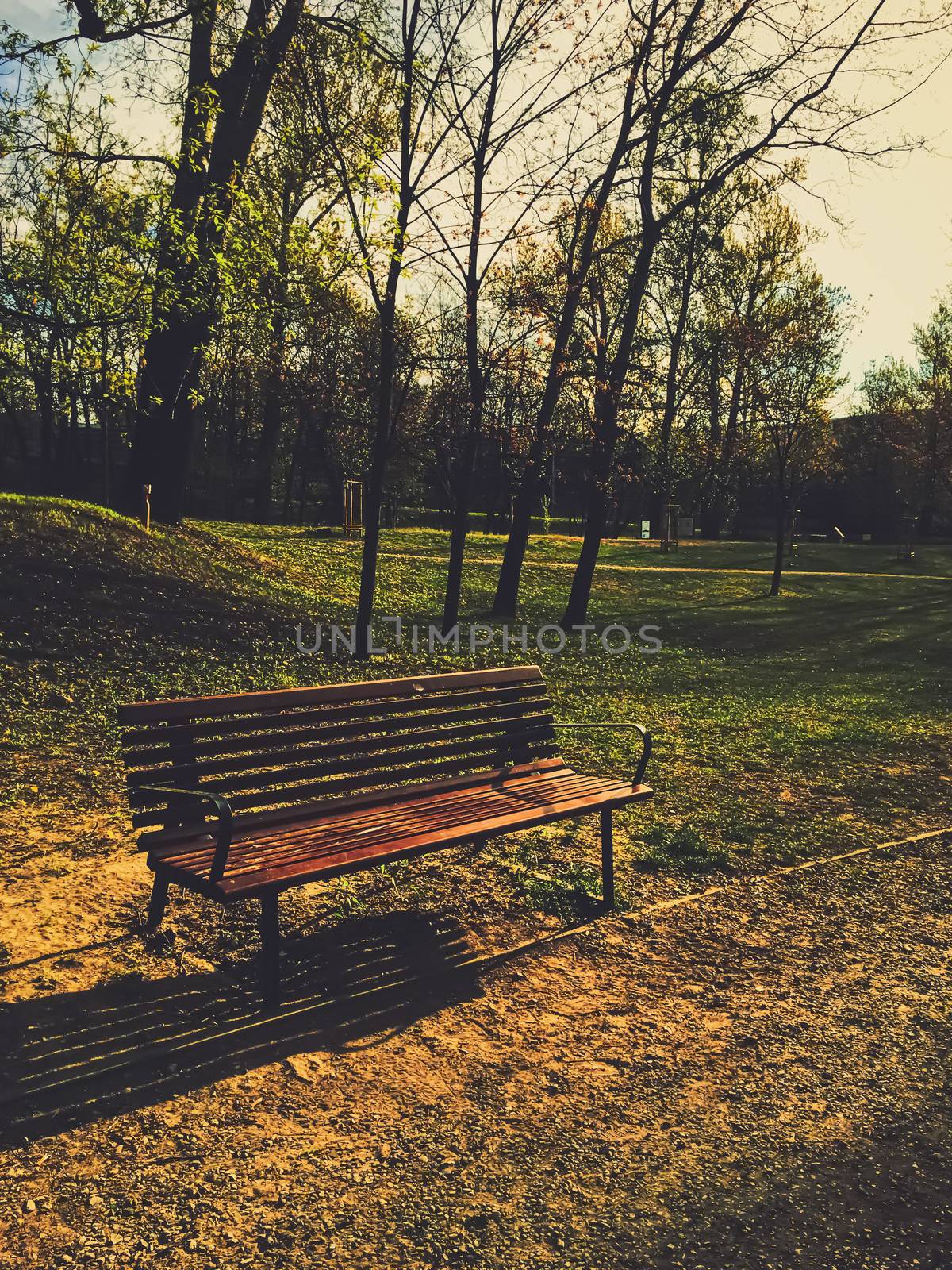 Empty bench in park during a city lockdown in coronavirus pandemic, outdoors and social issue