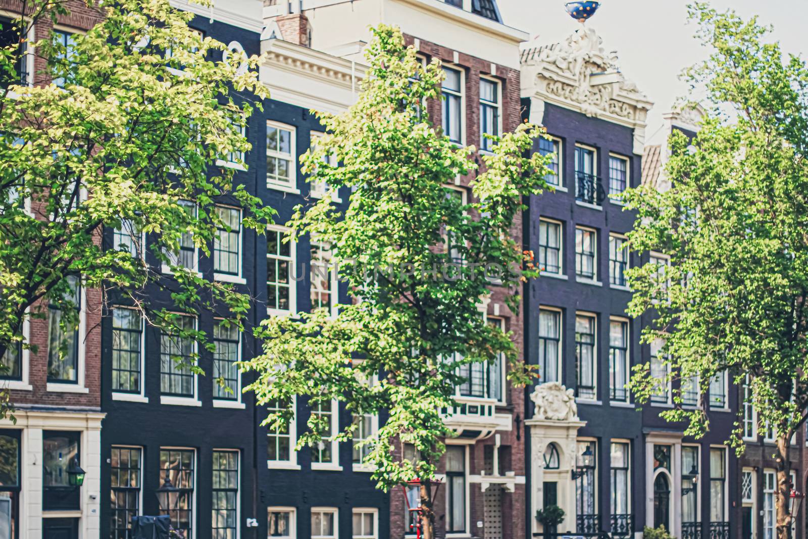 Main downtown street in the city center of Amsterdam in Netherlands on sunny day