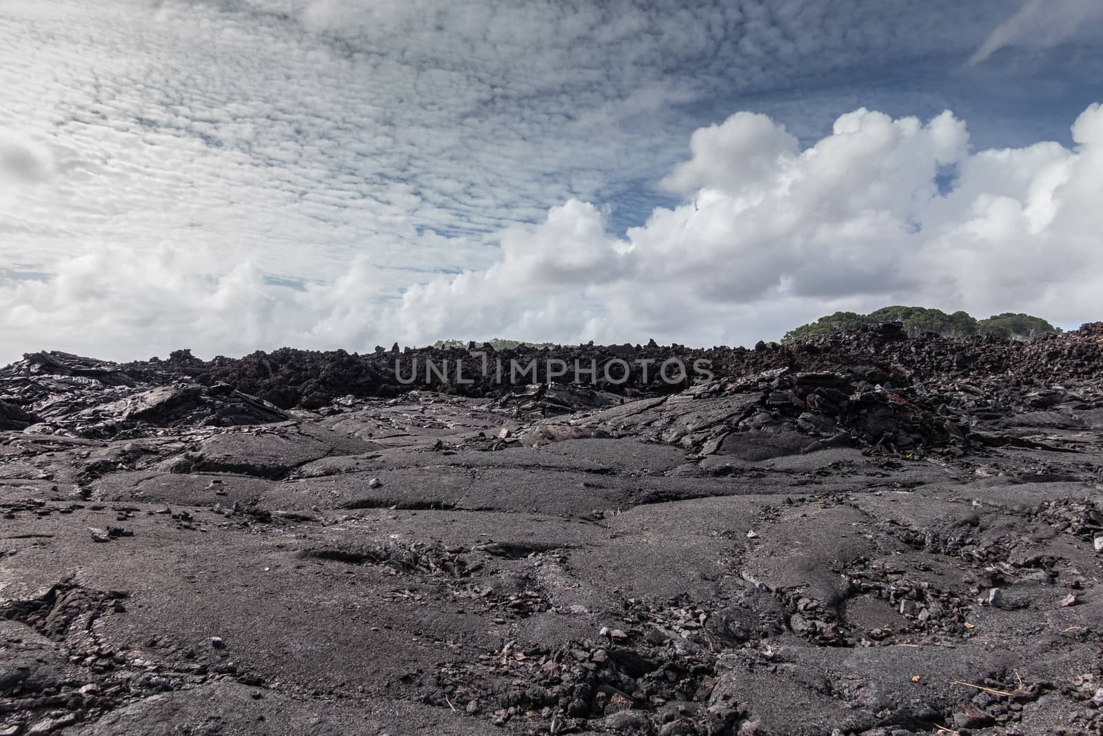 Leilani Estate, Hawaii, USA. - January 14, 2020: Large 2018 Kilauea volcano eruption hardened black lava field under white cloudscape and some green trees on horizon peeping above.