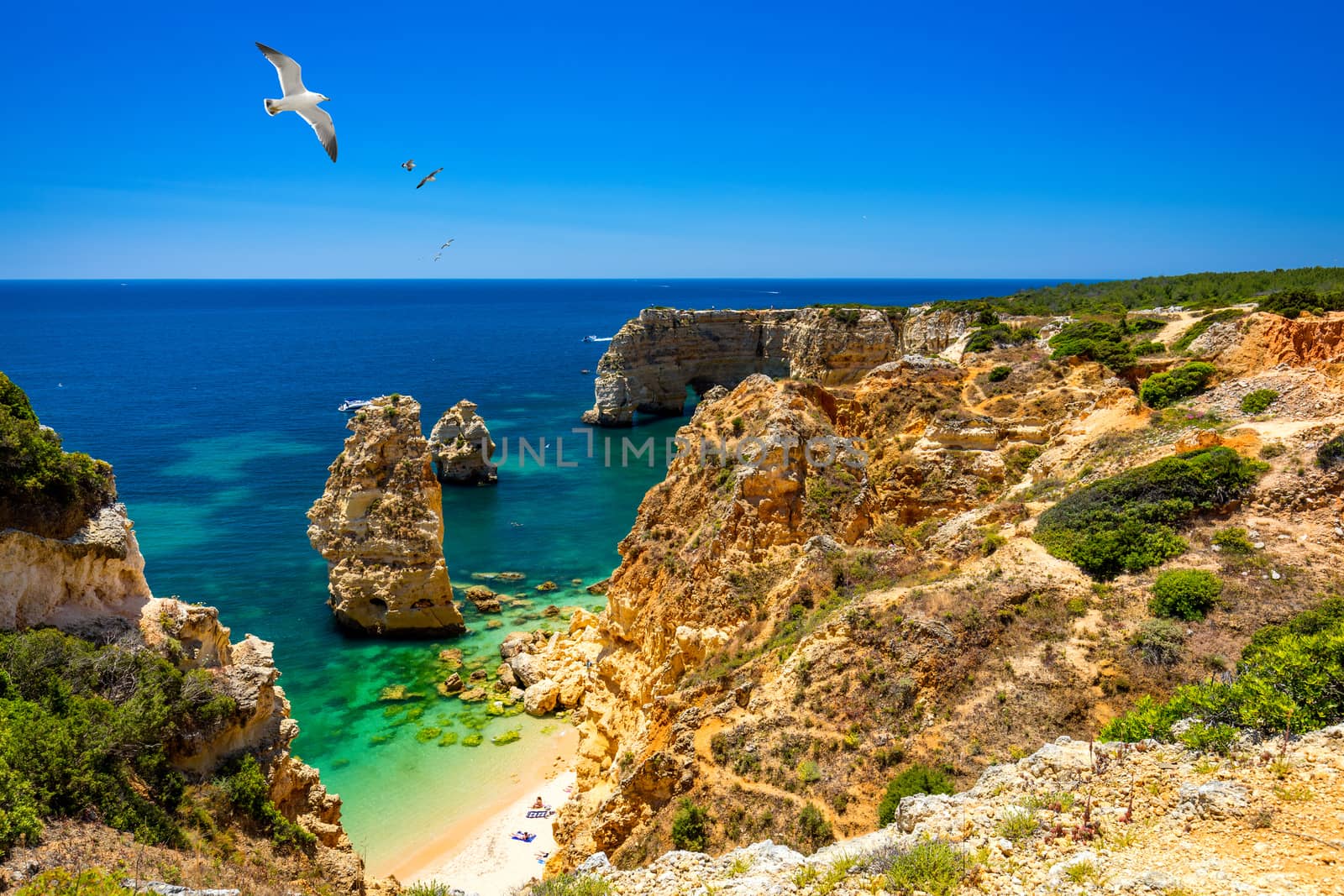 Praia da Marinha, beautiful beach Marinha in Algarve, Portugal. Navy Beach (Praia da Marinha) with flying seagulls over the beach, located on the Atlantic coast in Lagoa Municipality, Algarve.