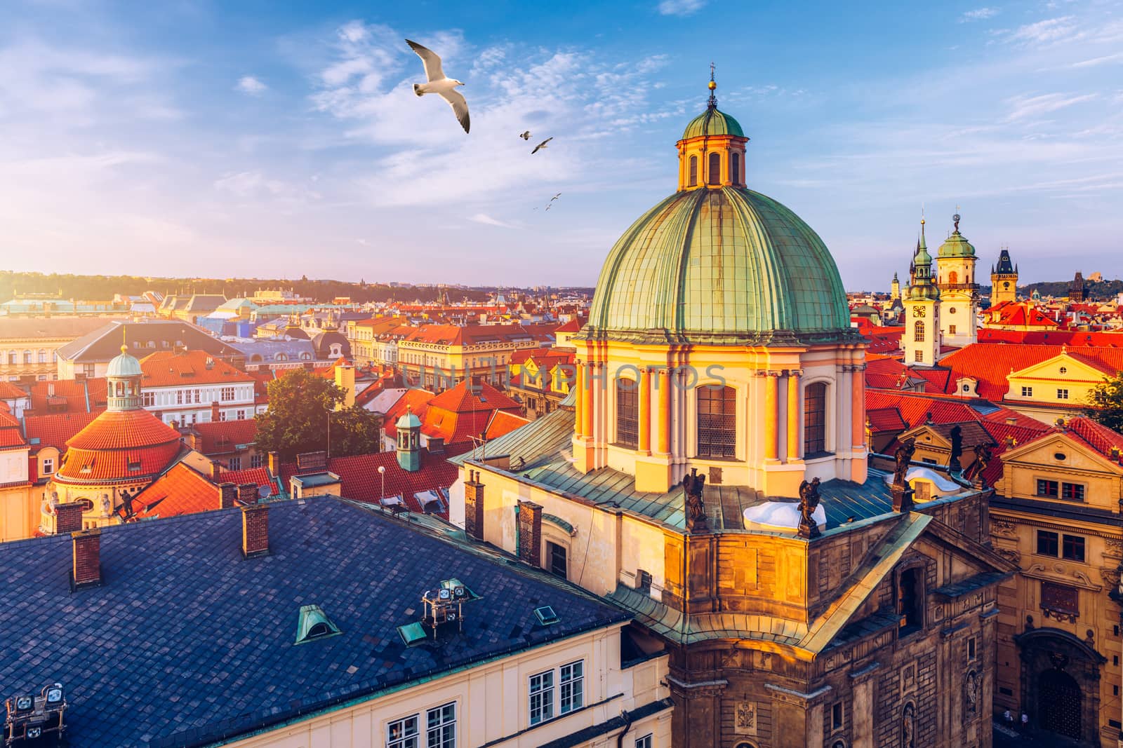 Aerial panorama view with flying birds of the Old Town in Prague, Czech Republic. Red roof tiles panorama of Prague old town.  Prague Old Town Square houses with traditional red roofs. Czechia.