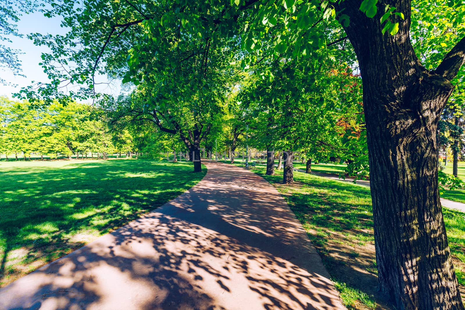 Spring view in Letna Park, Prague, Czech Republic. Spring in Prague (Praha), beautiful Letna park (Letenske sady) in sunlight, sunny landscape, popular tourist destination, Prague, Czech Republic