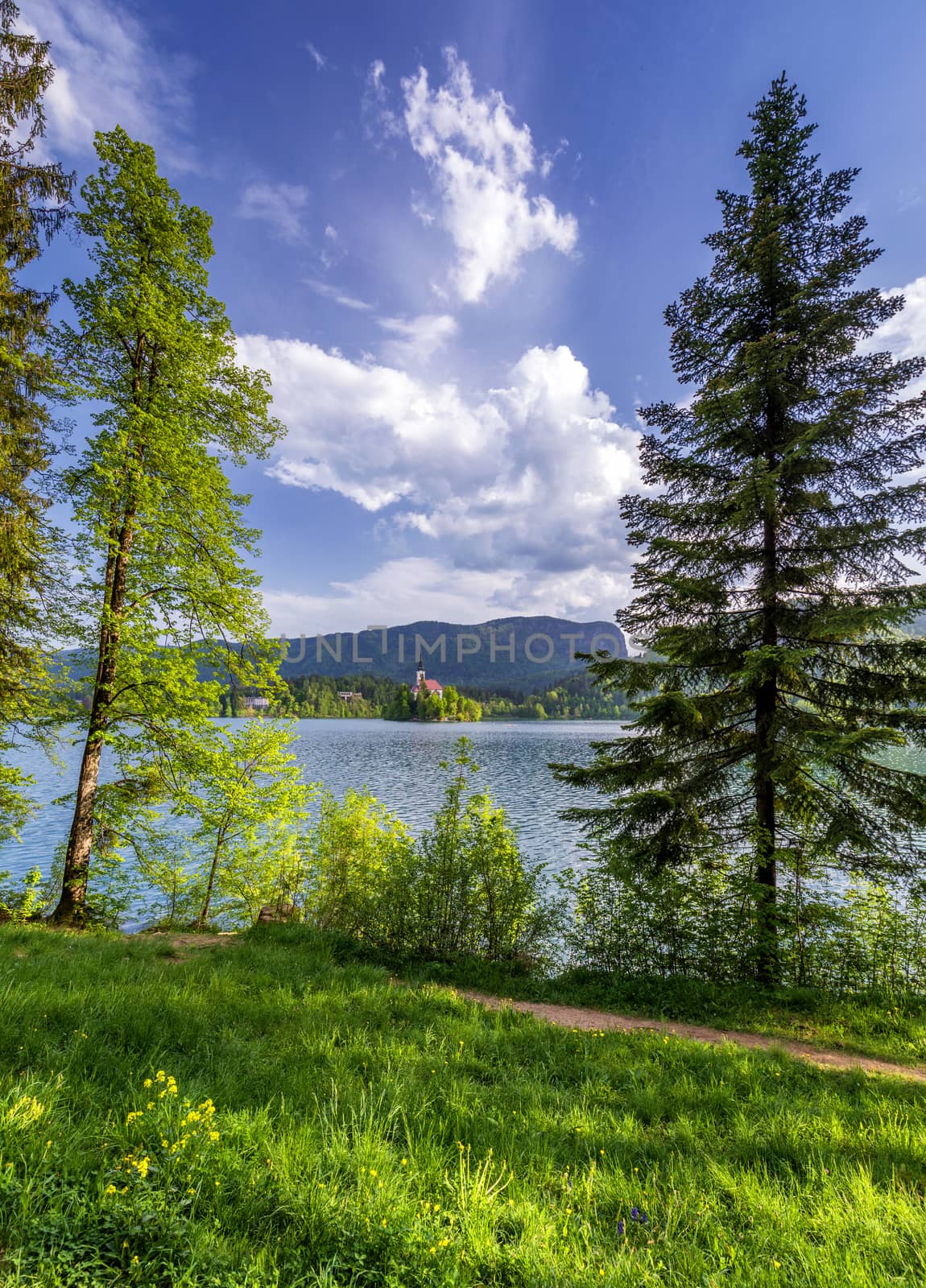 Lake Bled Slovenia. Beautiful mountain Bled lake with small Pilgrimage Church. Most famous Slovenian lake and island Bled with Pilgrimage Church of the Assumption of Maria. Bled, Slovenia.