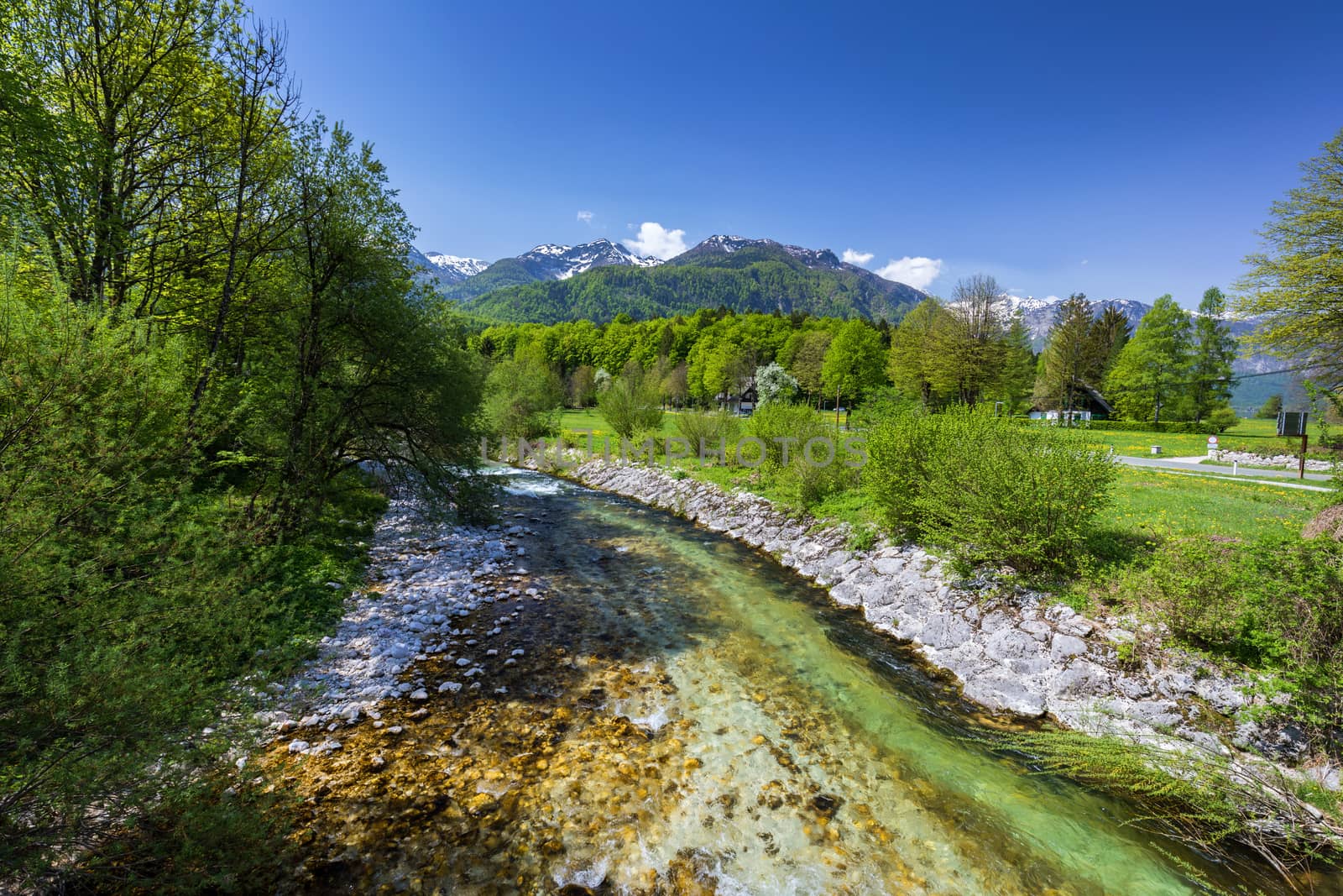 Amazing river in the mountains, Mostnica Korita, Julian alps in Slovenia