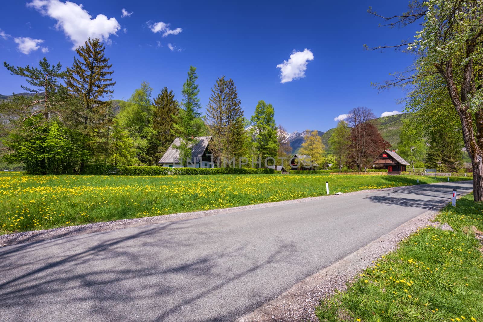 Colorful summer on the Stara Fuzina village in Triglav national park Slovenia, Julian Alps, Europe.