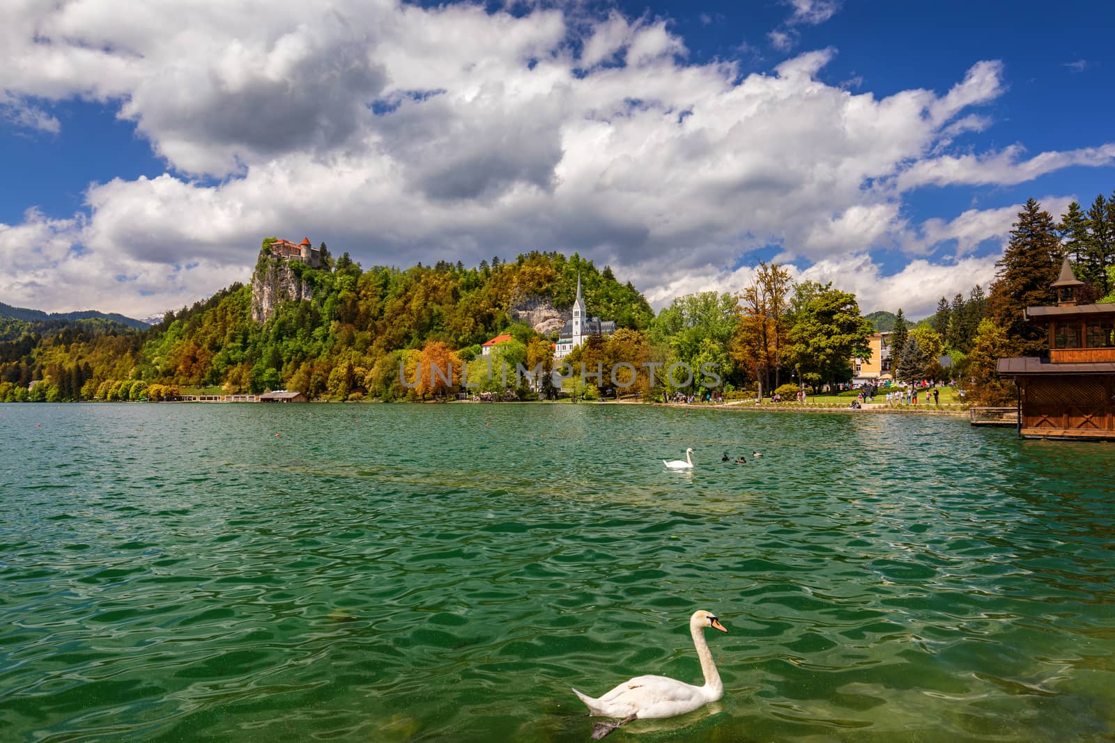 Amazing sunny scenery of Bled castle and St. Martin's Church and Bled town with reflection in the lake and the Julian Alps on background. Bled Lake, Slovenia.