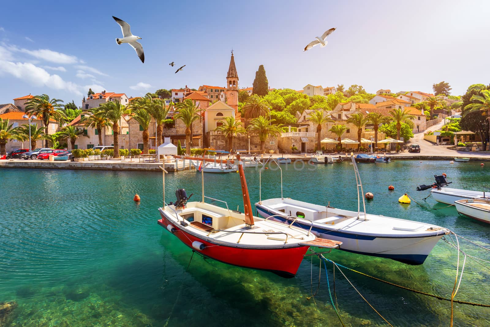 Splitska village with beautiful port and seagull's flying over the village, Brac island, Croatia. Fishing boats in Splitska village on Brac island seafront view, Dalmatia, Croatia, Croatia.