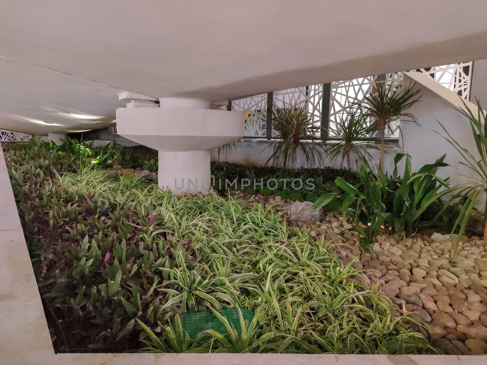 a little garden underneath stairs