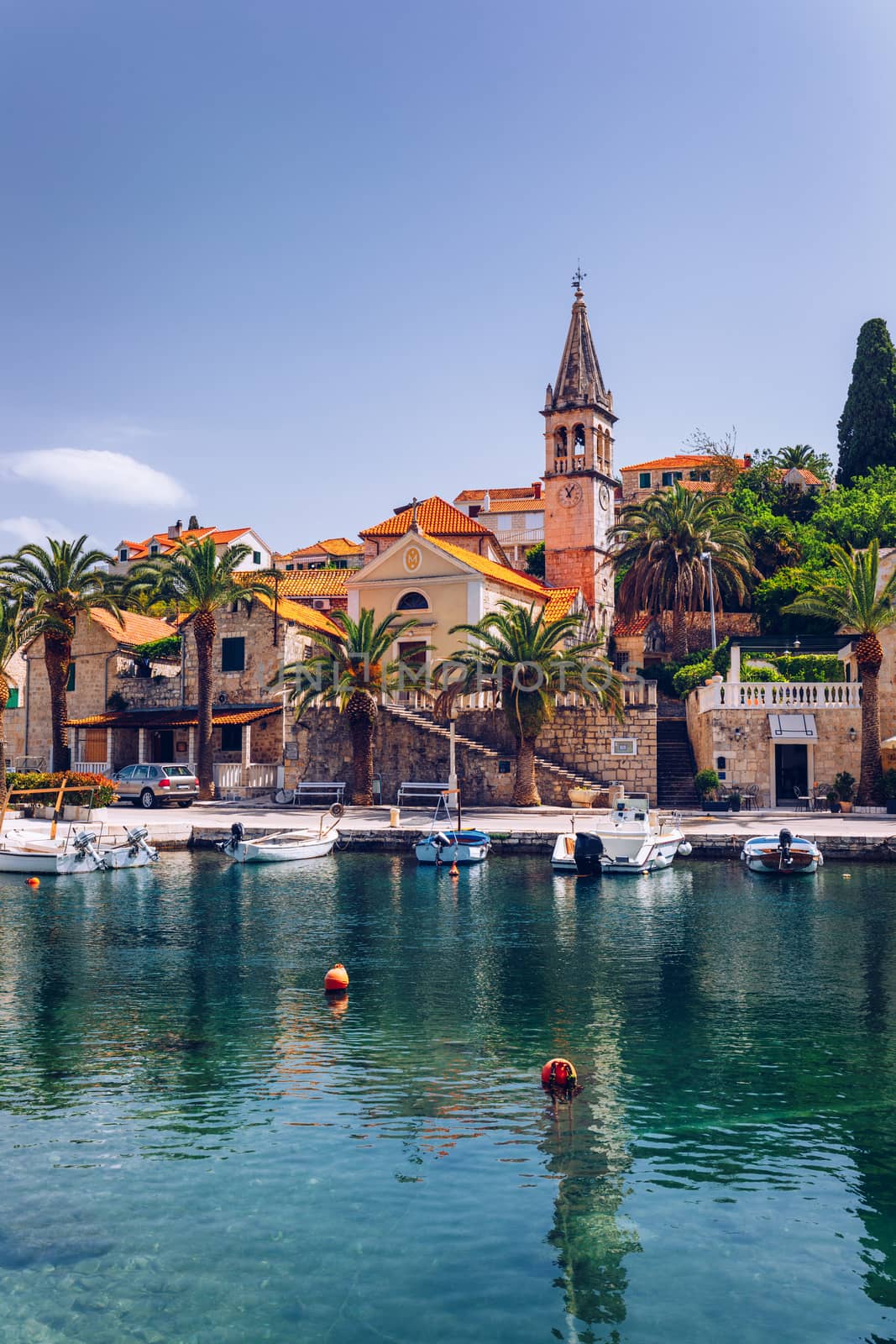 Church building and palm tree against sunny blue sky in Splitska village on Brac island, Croatia. 