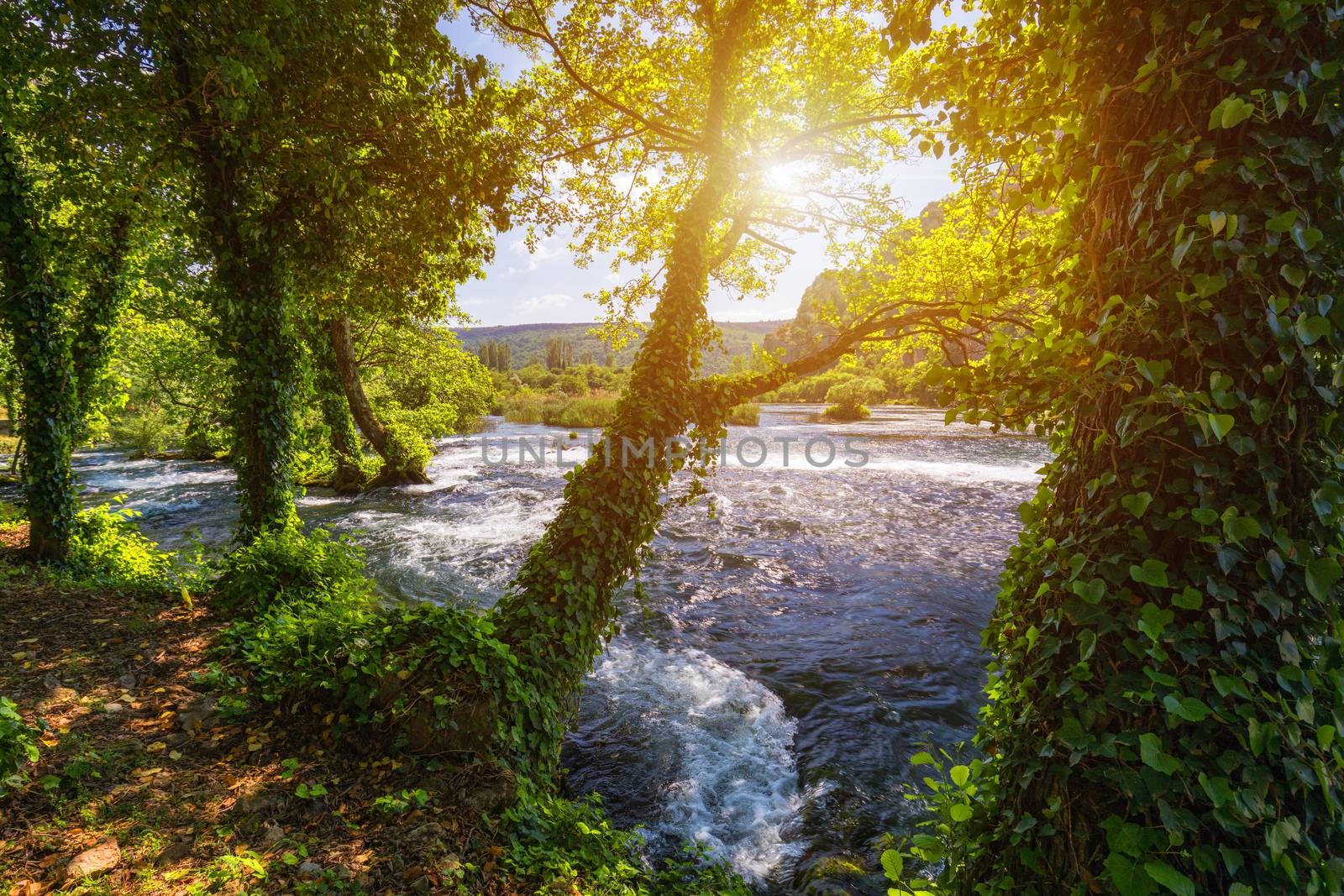 Waterfalls Krka, National Park, Dalmatia, Croatia. View of Krka National Park, Roski Slap location, Croatia, Europe. Beautiful world of Mediterranean countries. Traveling concept background.