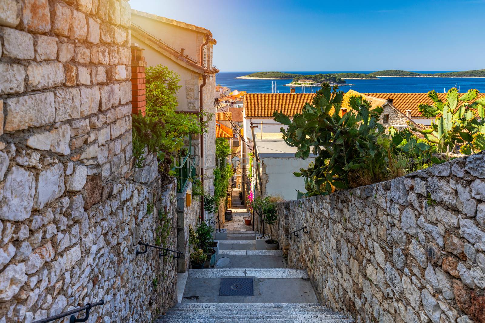 Beautiful street with flowers in the Hvar town, Hvar island, Dalmatia, Croatia. Old Mediterranean street, Hvar town. Old Adriatic town Hvar. Medieval street. Popular touristic destination of Croatia.