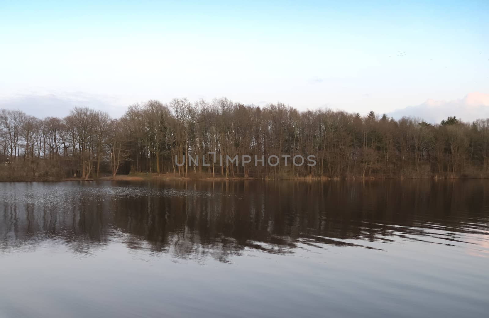 Beautiful landscape at the coast of a lake with a reflective wat by MP_foto71