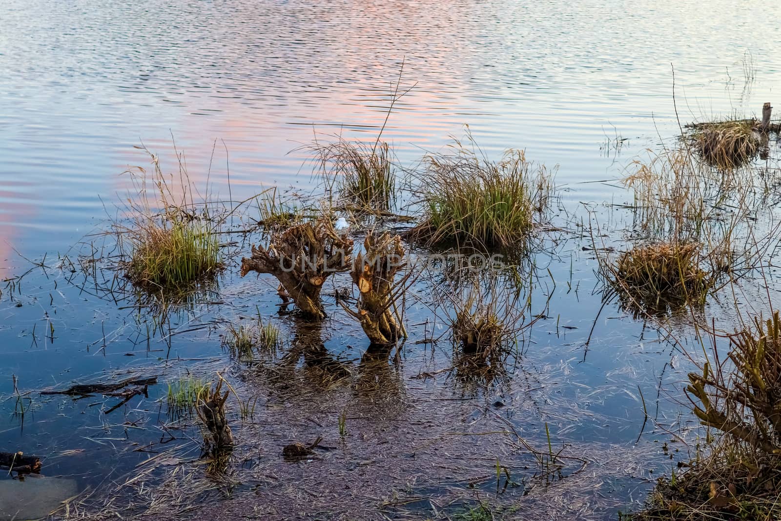 Beautiful landscape at the coast of a lake with a reflective wat by MP_foto71