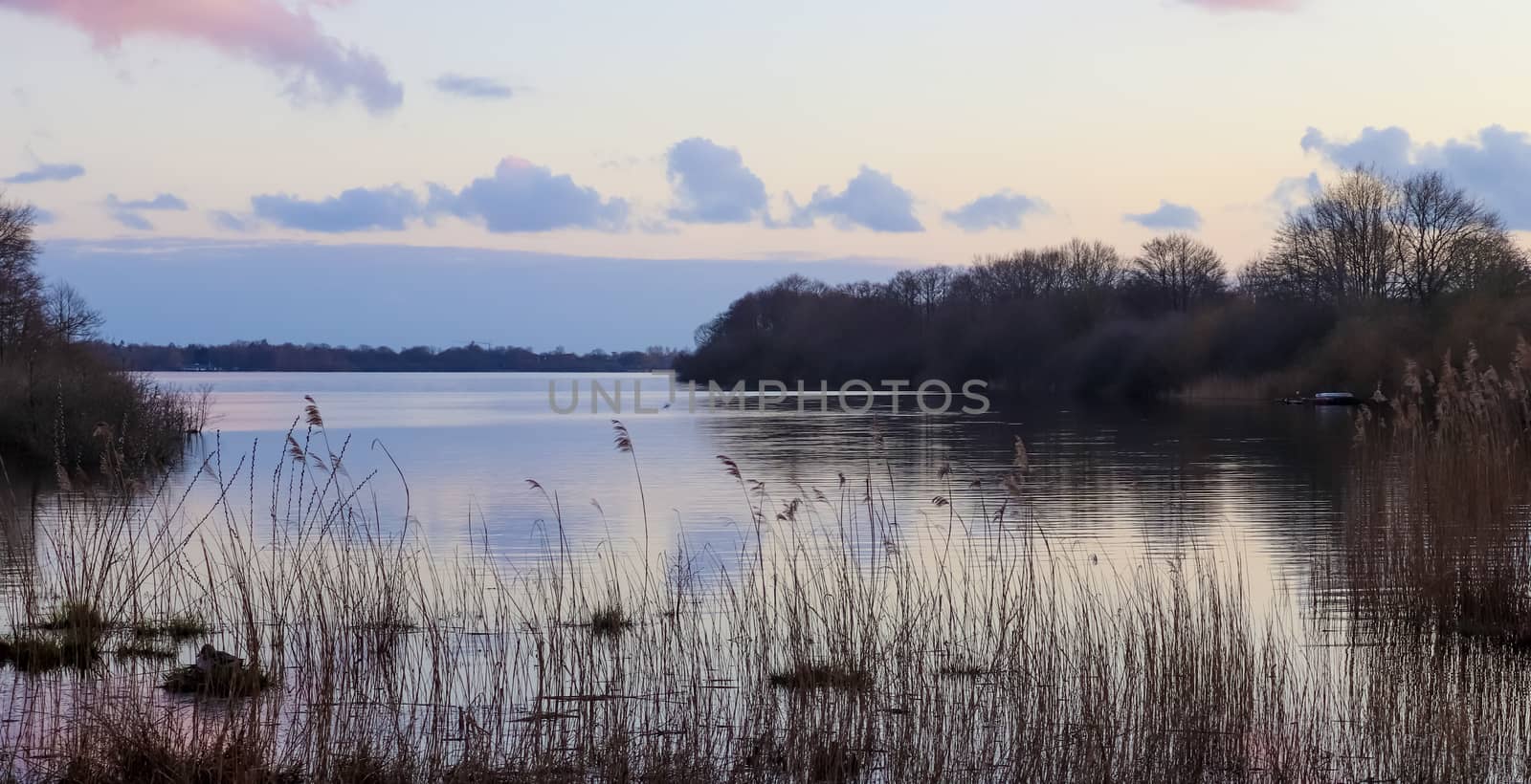 Beautiful landscape at the coast of a lake with a reflective water surface and some grass and reed