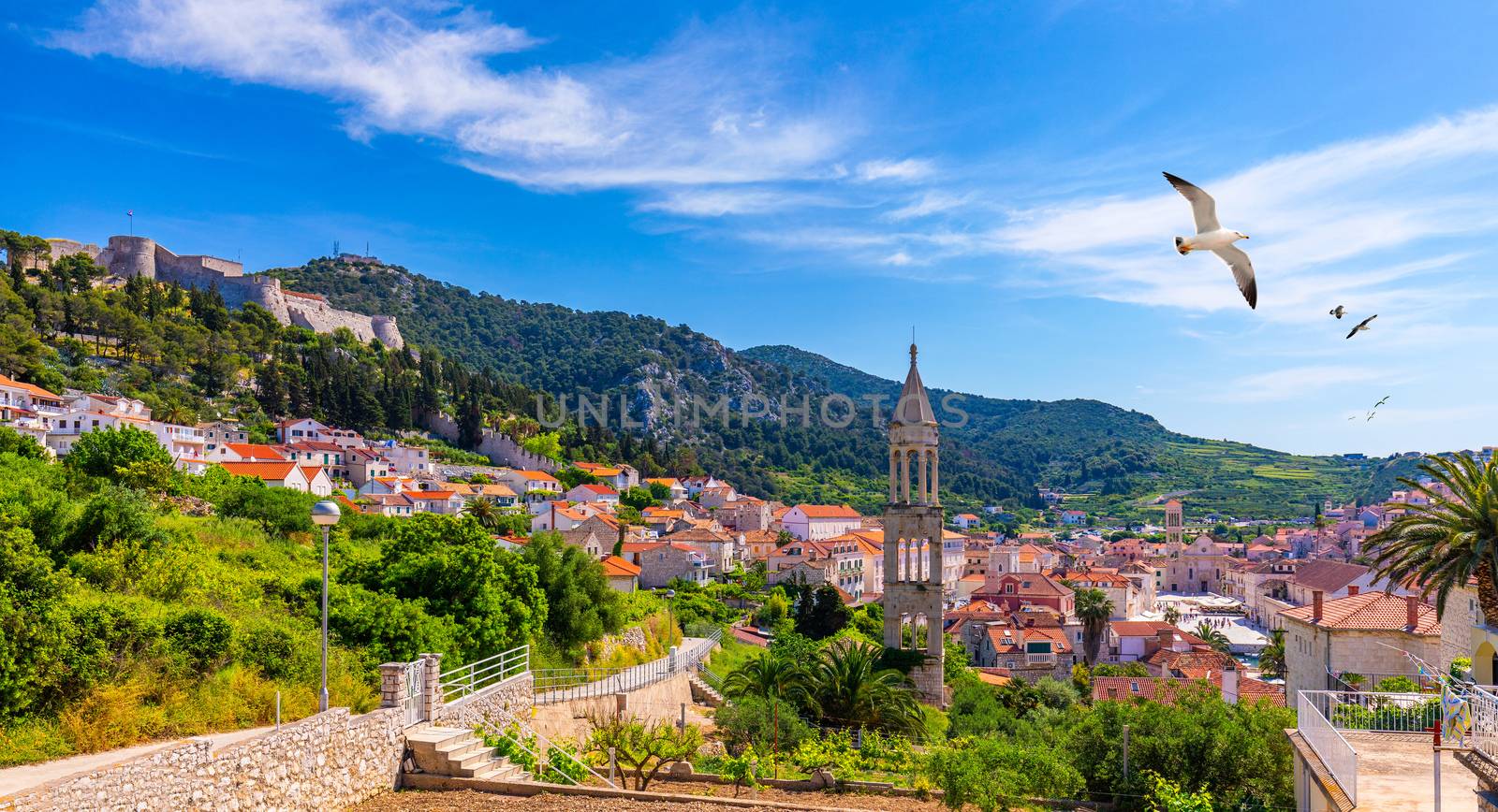 View at amazing archipelago in front of town Hvar, Croatia with seagull's flying over the city. Harbor of old Adriatic island town Hvar. Amazing Hvar city on Hvar island, Croatia. 