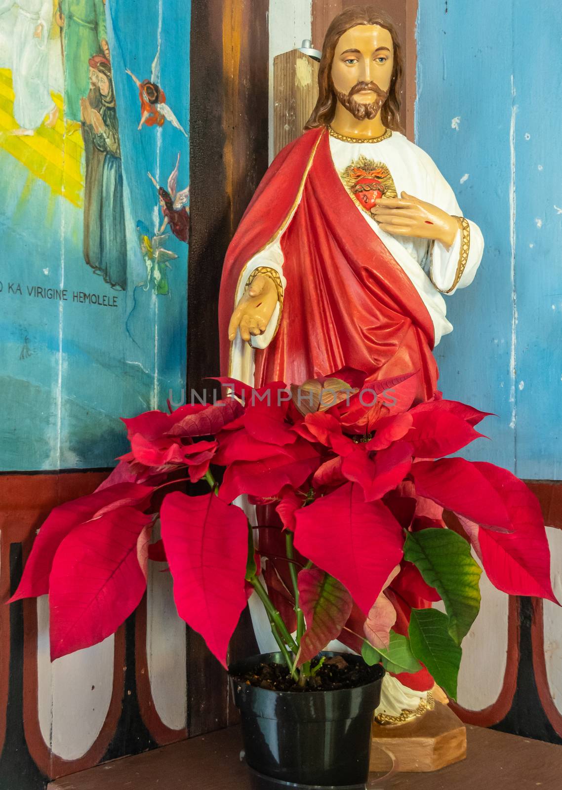 Kalapana, Hawaii, USA. - January 14, 2020: Mary, Star of the Sea Catholic Church. Closeup of Sacred Heart Jesus statue with white and red dress behind red flowers. Blue walls and brown beams in back.