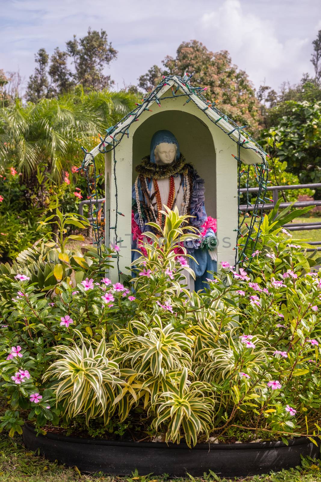 Kalapana, Hawaii, USA. - January 14, 2020: Mary, Star of the Sea Catholic Church. Statue in niche of Mary, mother of god, in garden outside. Lots of green with red and pink flowers. White cloudscape.