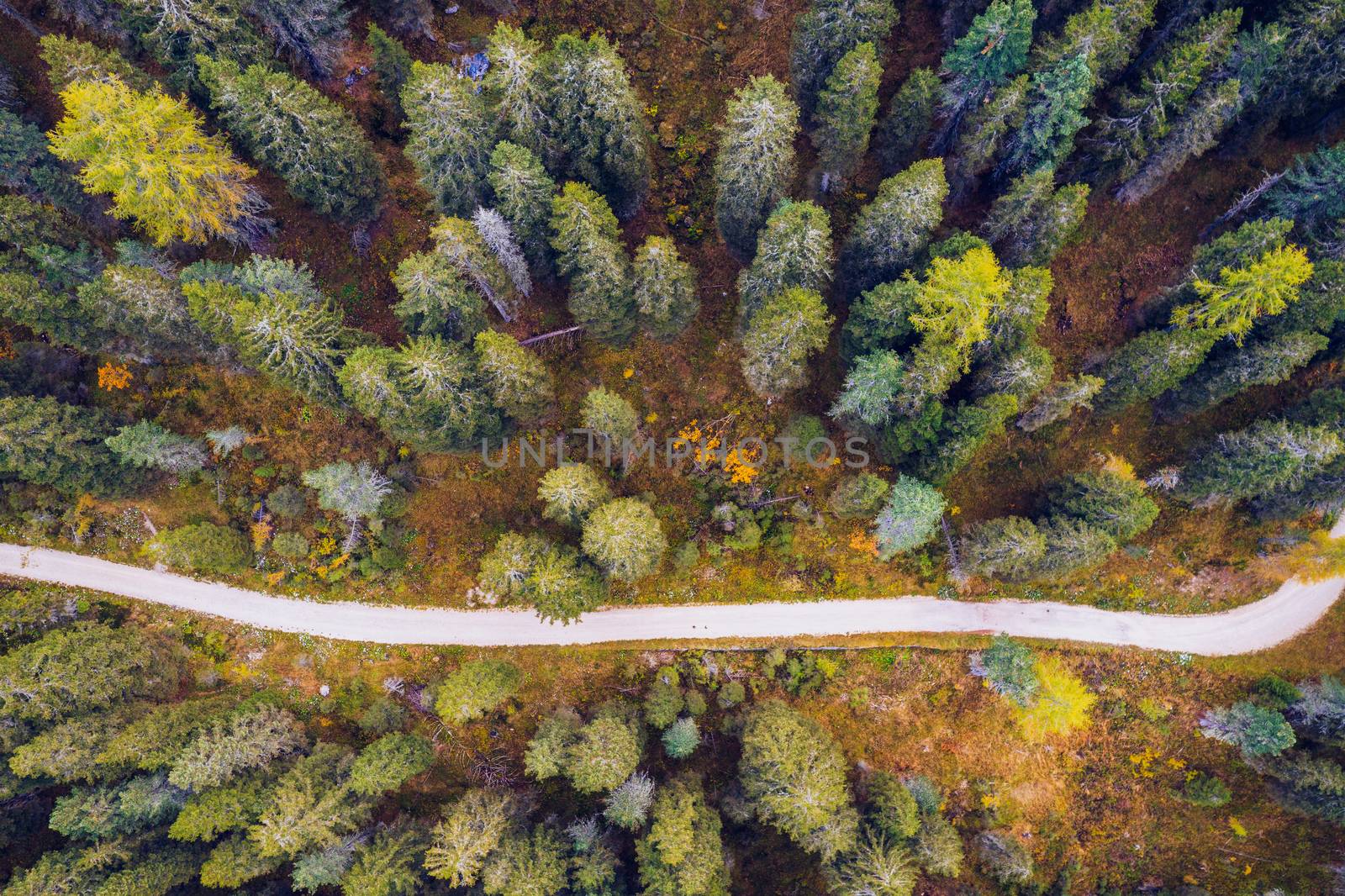 Scenic aerial view of a winding trekking path in a forest. Trekking path in the forest from above, drone view. Aerial top view of a trail in the middle of a forest. Aerial view of footpath in forest.