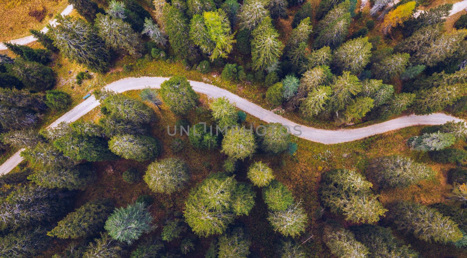 Scenic aerial view of a winding trekking path in a forest. Trekking path in the forest from above, drone view. Aerial top view of a trail in the middle of a forest. Aerial view of footpath in forest.