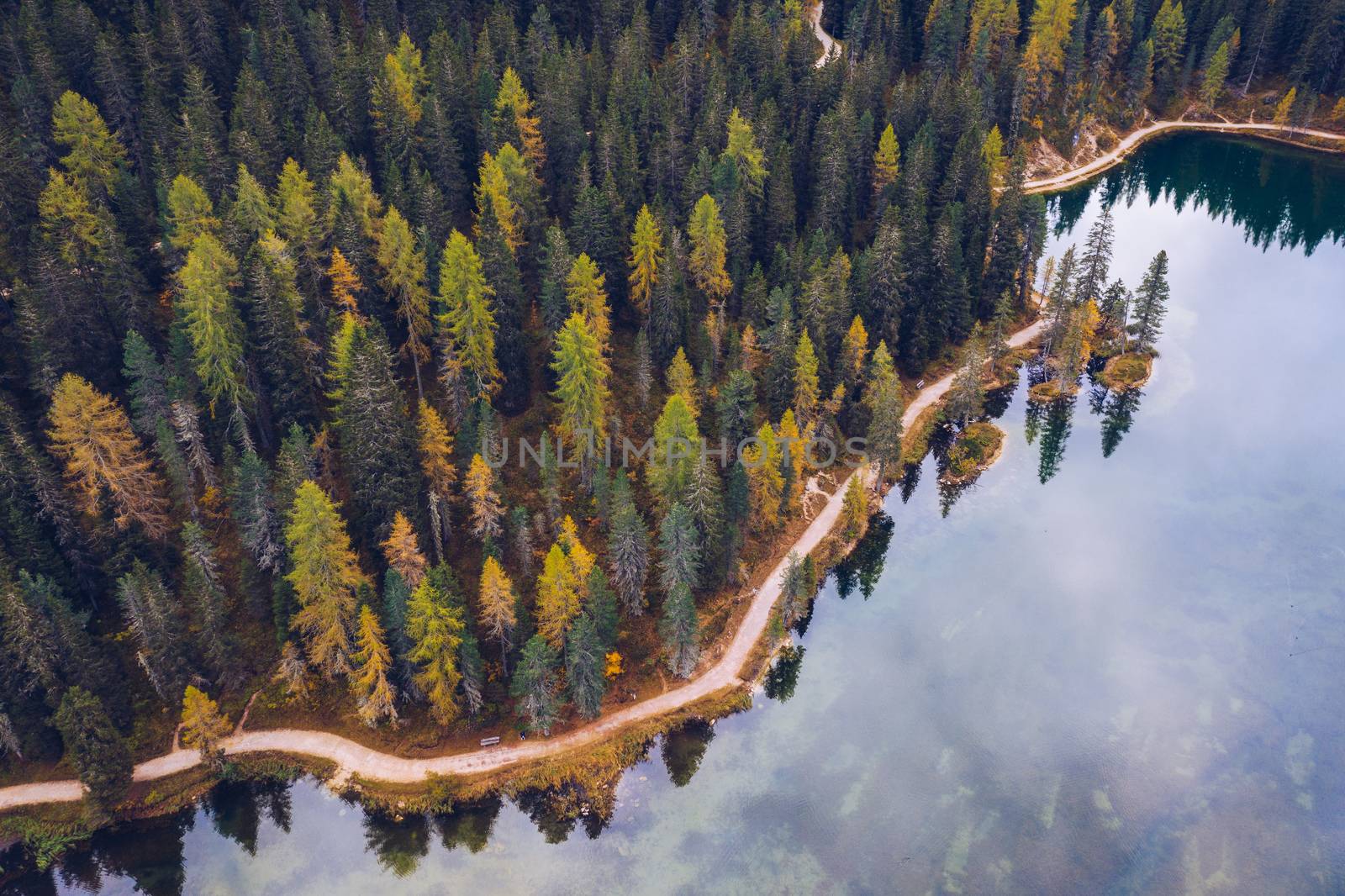 Scenic aerial view of a winding trekking path in a forest. Trekking path in the forest from above, drone view. Aerial top view of a trail in the middle of a forest. Aerial view of footpath in forest.
