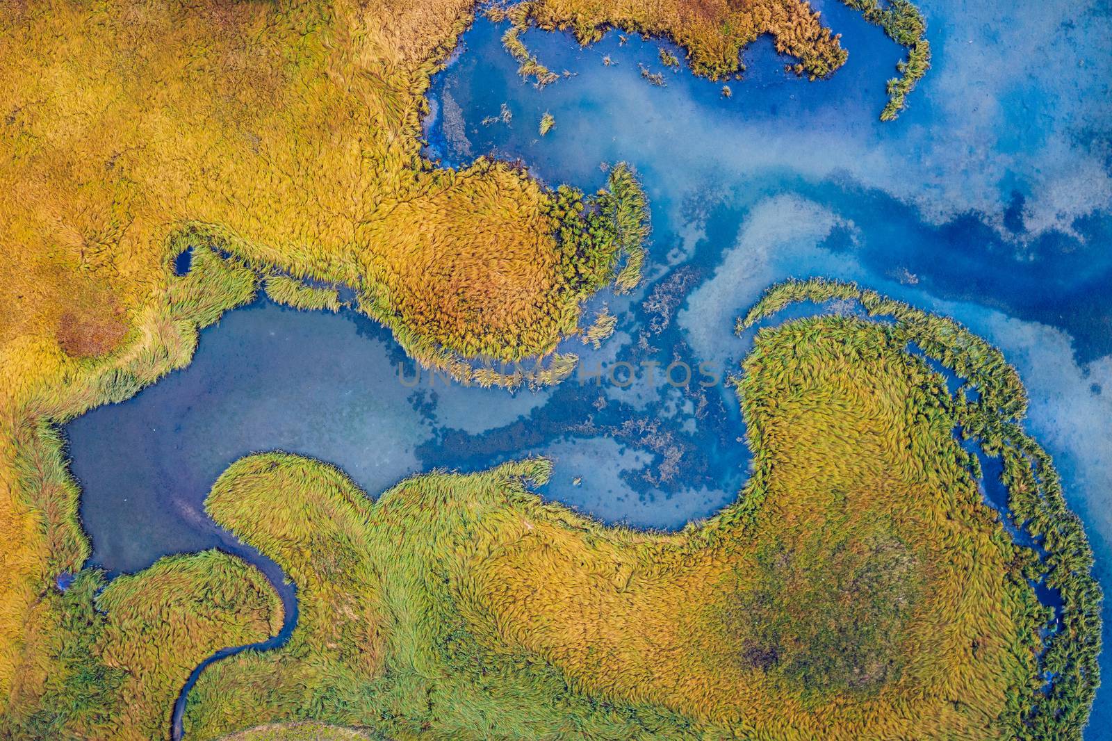 Aerial drone view windy river , cross streams , and vein like water ways turning across grass meadow floor of lush green mountain valley streams cross crossing and meandering across valley floor.