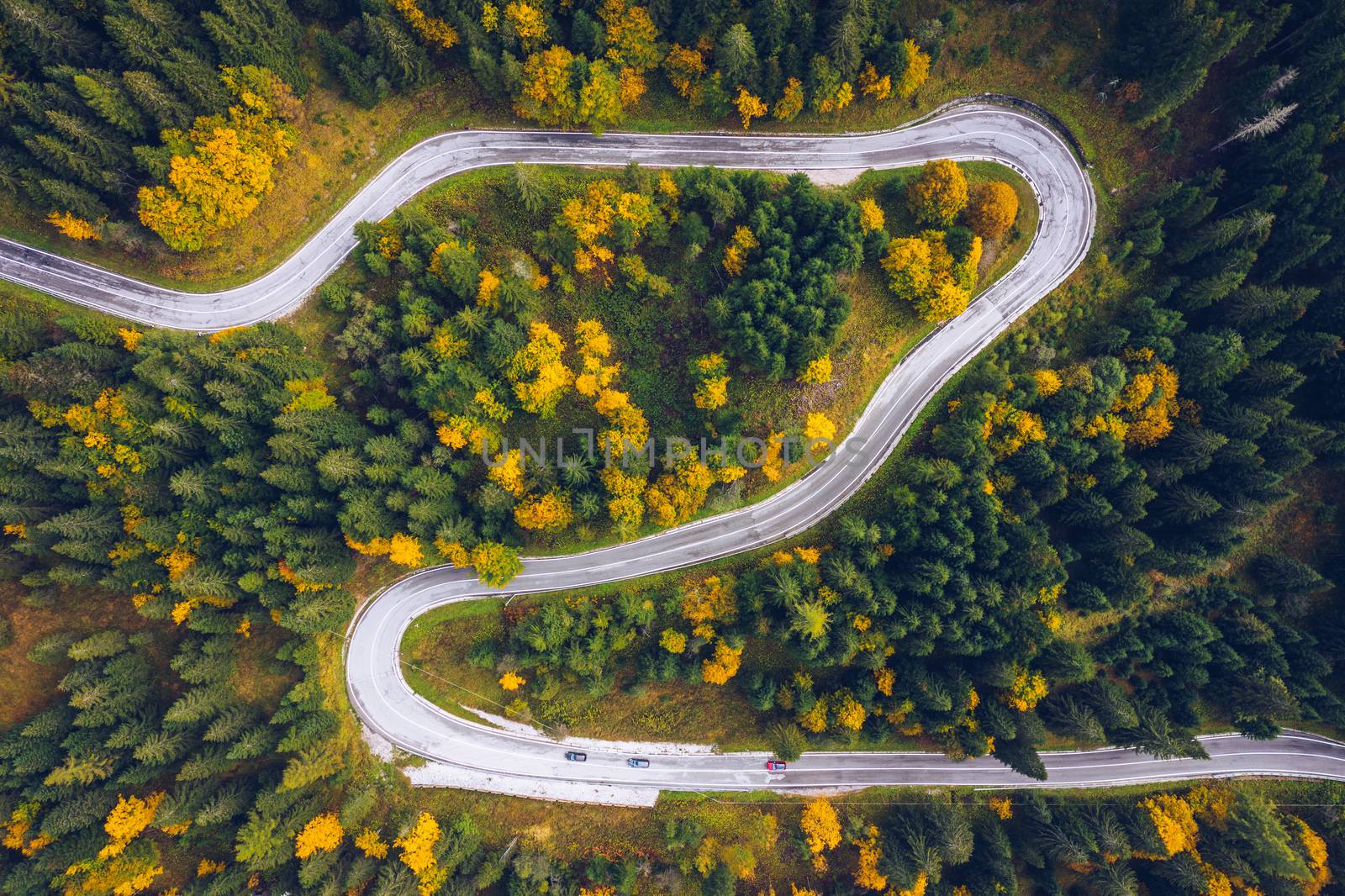 Curved bending road in the forest. Aerial image of a road. Forrest pattern. Scenic curvy road seen from a drone in autumn. Aerial top down view of zig zag winding mountain road, drone shot.