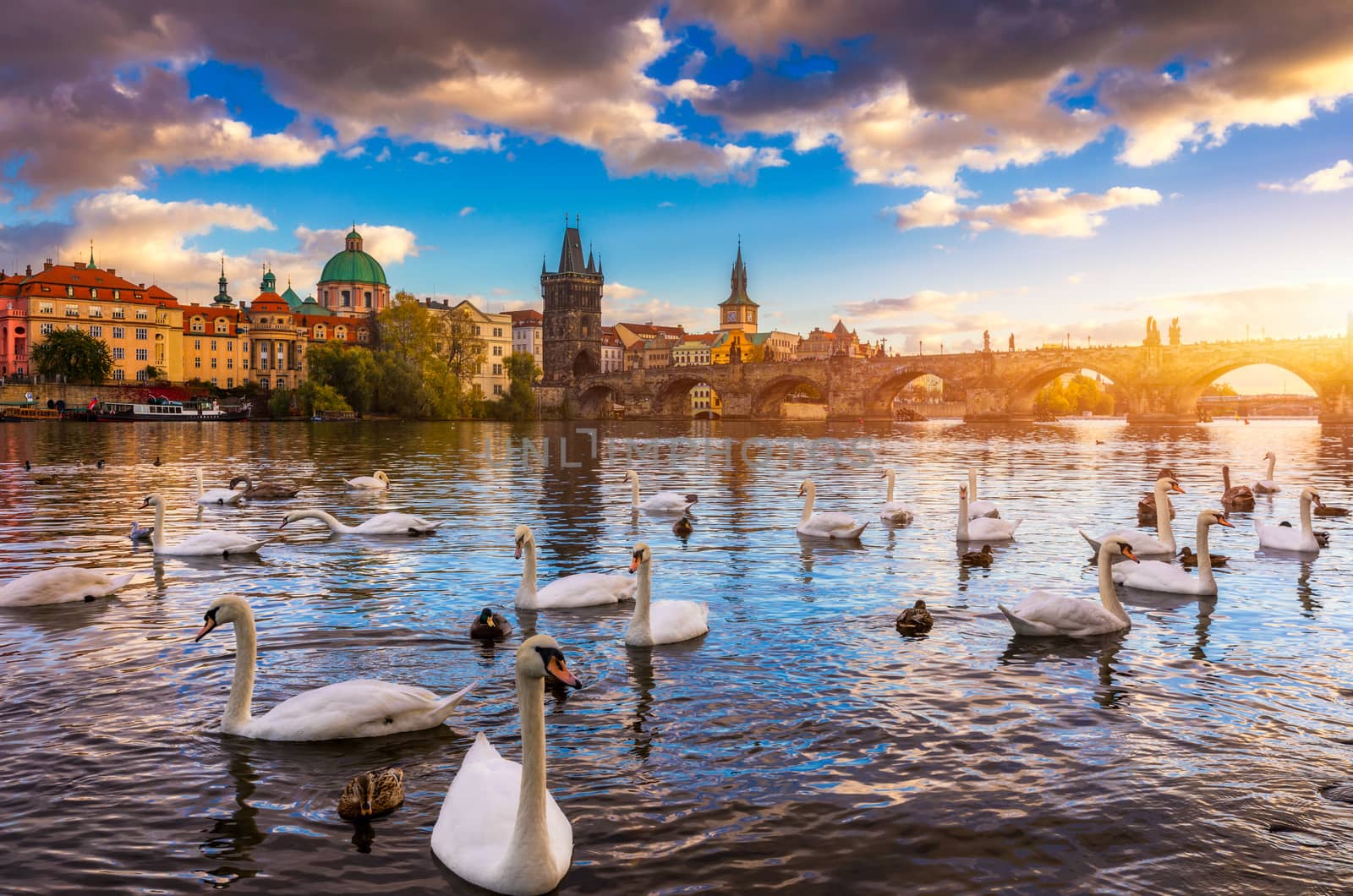 Autumn view to Charles bridge on Vltava river in Prague, Czech Republic. Autumn view to Charles Bridge, Prague old town and Vltava river. Czechia. Scenic autumn view of the Old Town with red foliage.