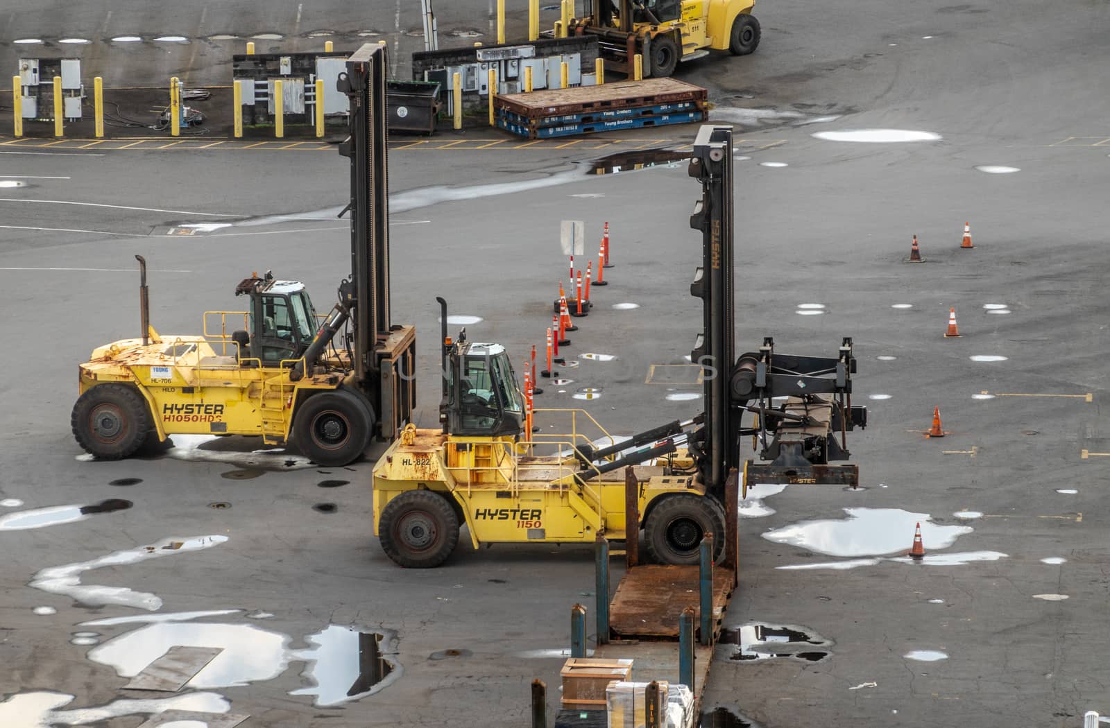 Hilo, Hawaii, USA. - January 14, 2020: Ocean port. closeup of 2 yellow-black Hyster shipping container lift trucks parked on gray tarmac with water pools.